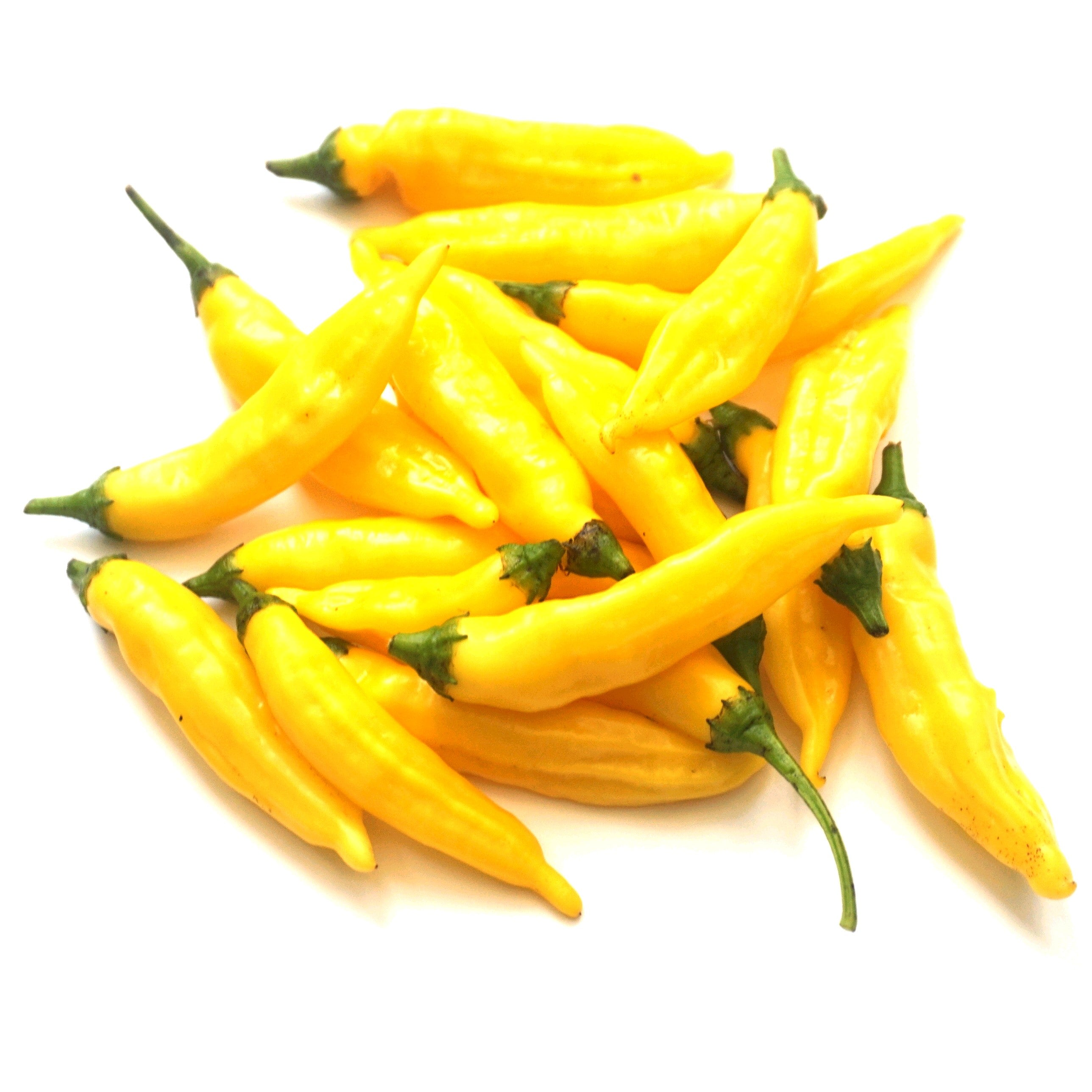 Mellow Yellow Chilli Seed Set (20) – Havana Gold, Aji Lemon Drop, Trinidad Perfume, Lemon Yellow Habanero