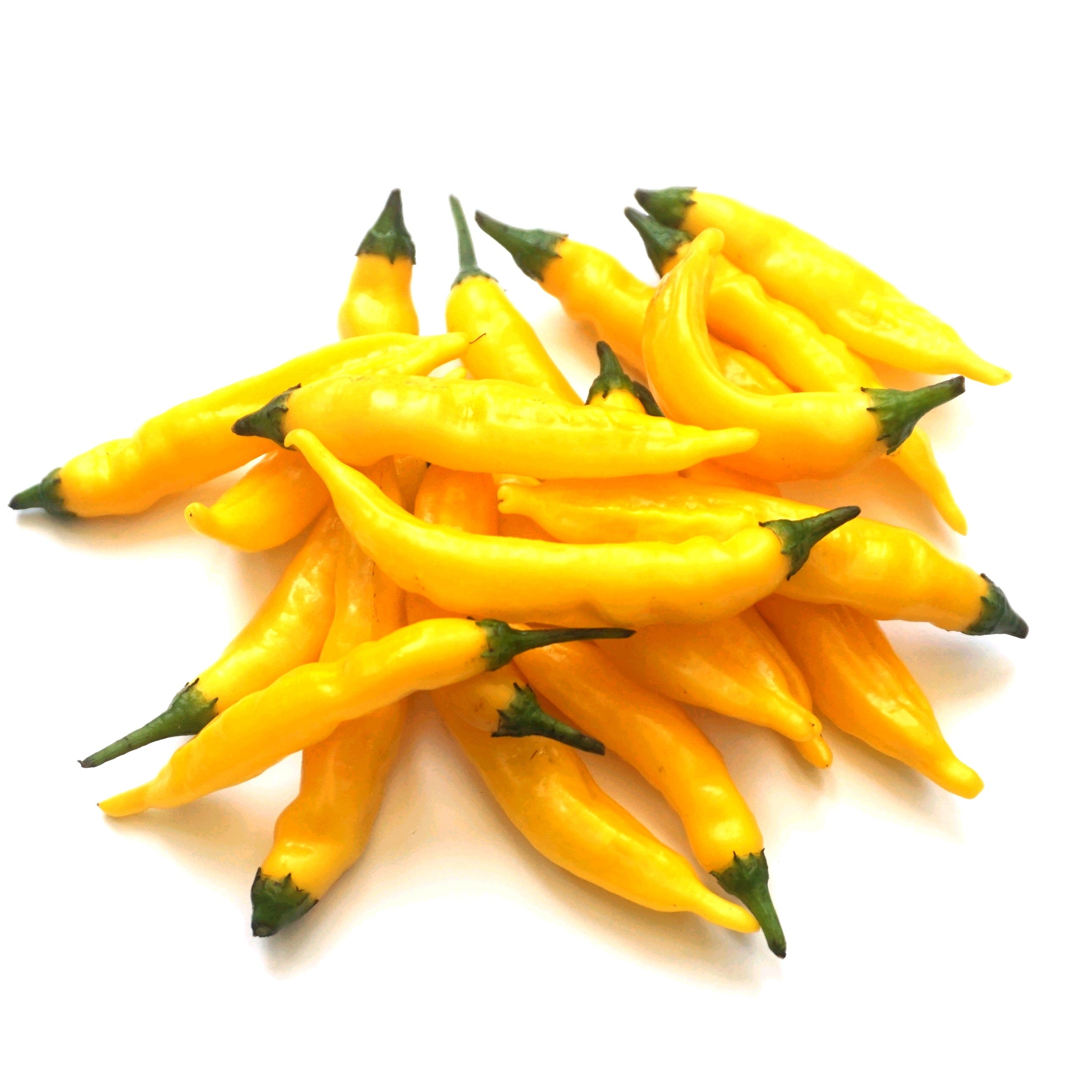 Aji Pineapple Chilli Seeds (10) Mild Fruity Pepper - Capsicum Baccatum