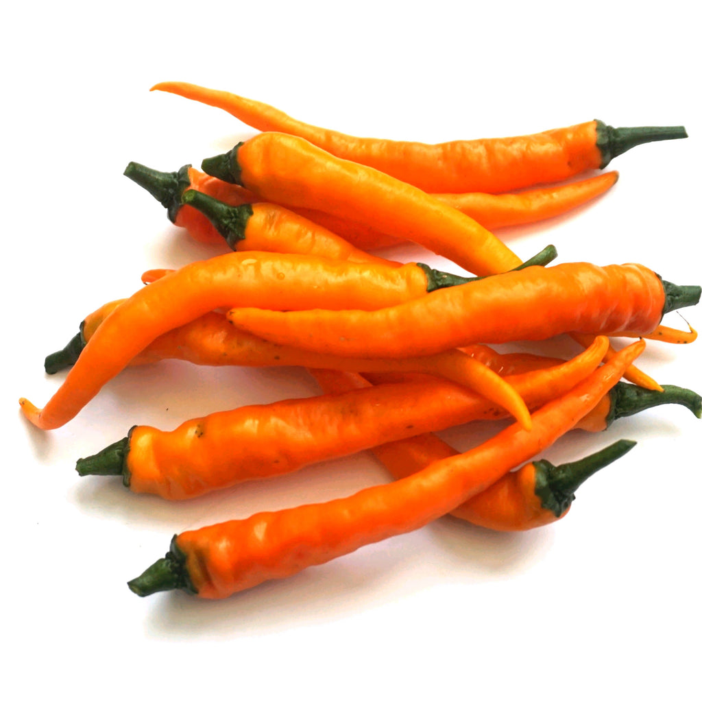 Hot & Huge Chilli Seed Set (20) – Hungarian Hot Wax, Fresno, Cayenne Orange, Banana Pepper