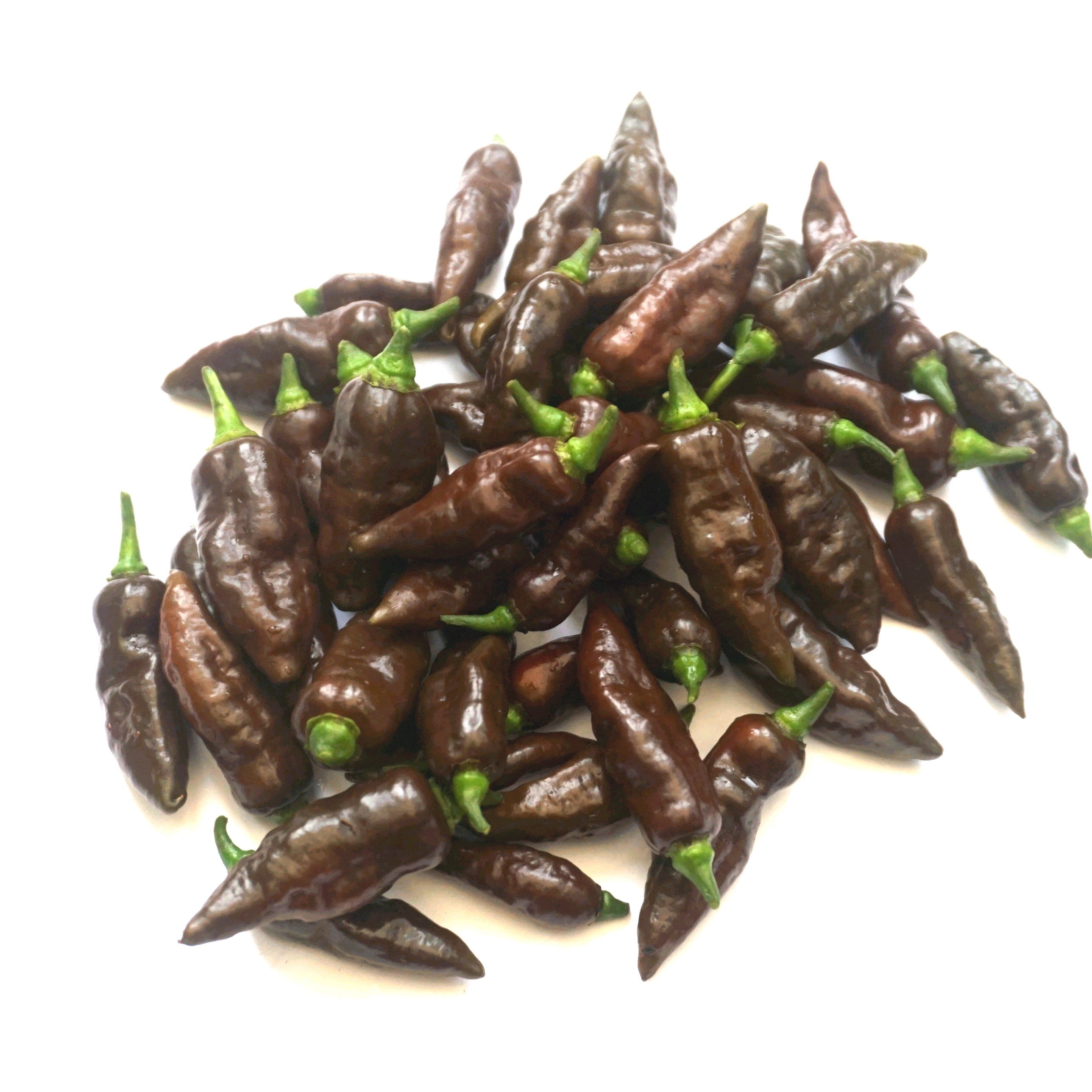 Chocolate Ghost / Bhut Jolokia Chilli Seeds (10) Rare Superhot Pepper - Capsicum Chinense