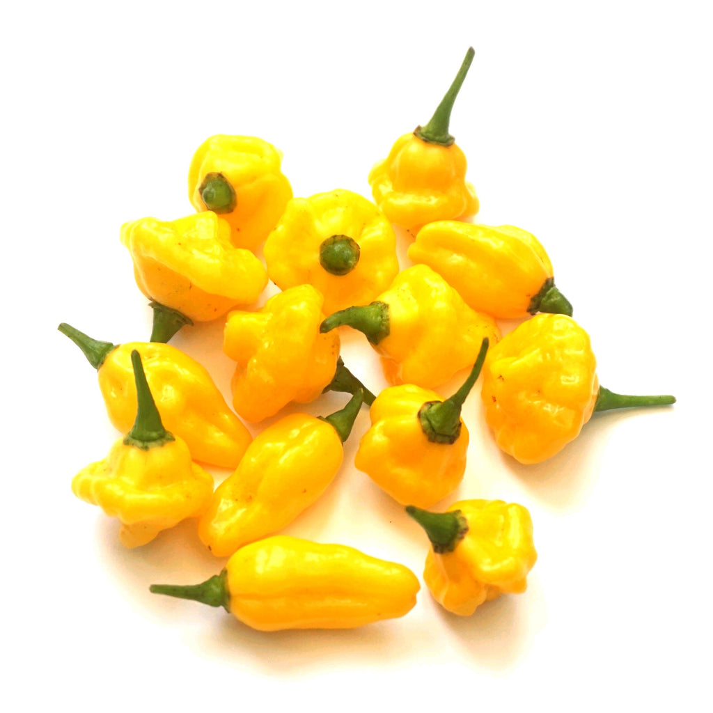 Mellow Yellow Chilli Seed Set (20) – Havana Gold, Aji Lemon Drop, Trinidad Perfume, Lemon Yellow Habanero