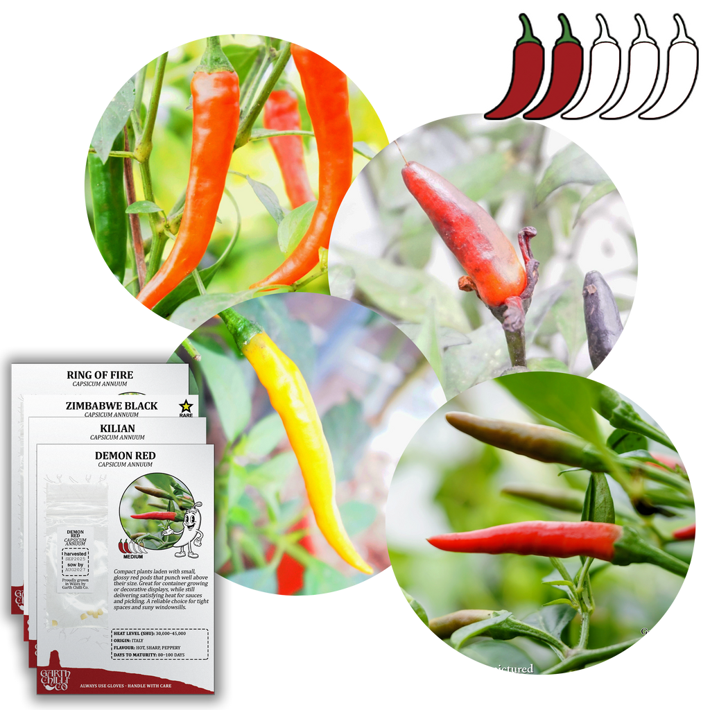 Compact Chilli Seed Set (20) – Demon Red, Zimbabwe Black, Ring of Fire, Kilian