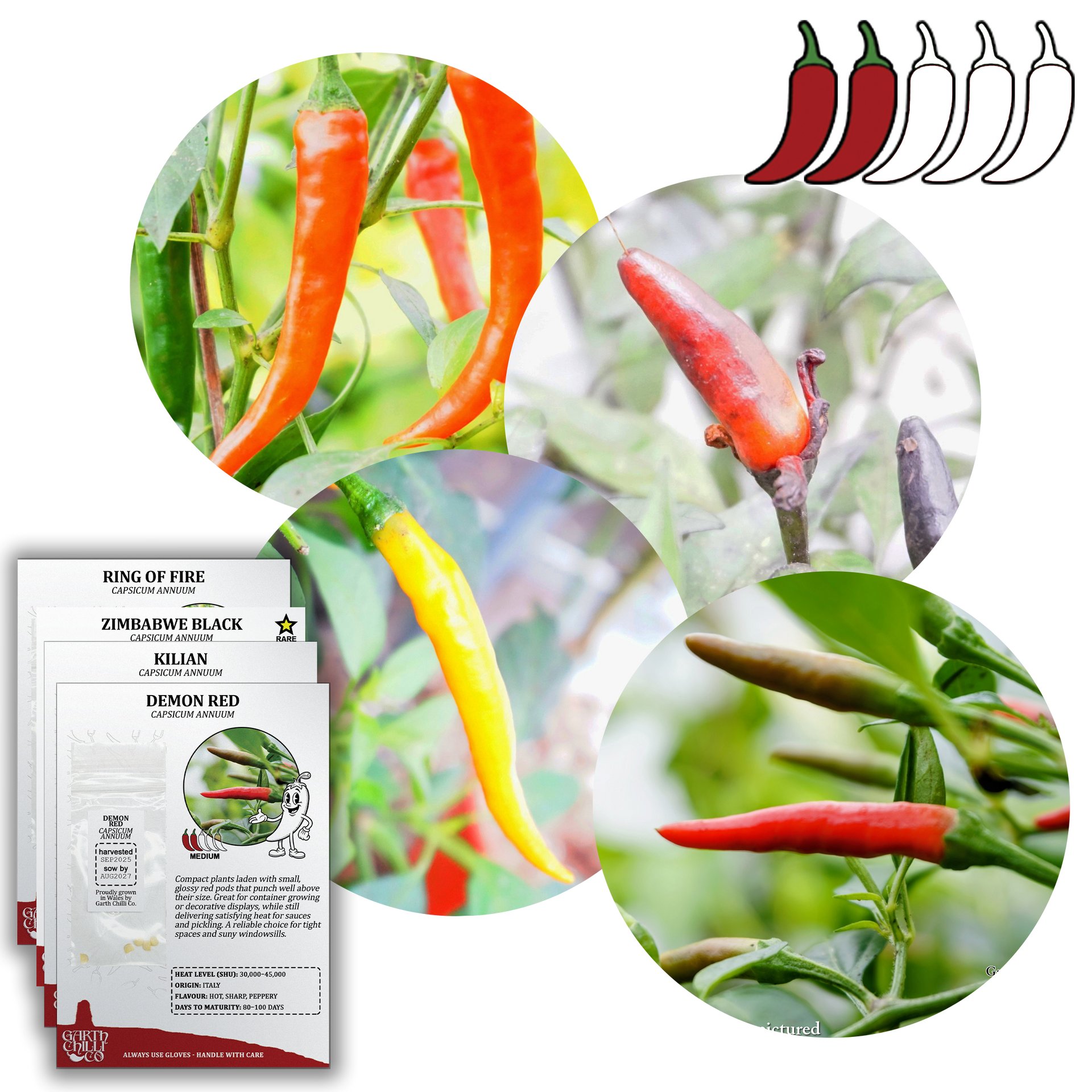 demon seed plant Compact Chilli Seed Set (20) – Demon Red, Zimbabwe Black, Ring of Fire –  Garth Chilli Co