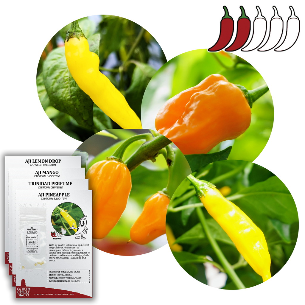Fruity Chilli Seed Set (20) – Aji Lemon Drop, Aji Mango, Aji Pineapple, Trinidad Perfume
