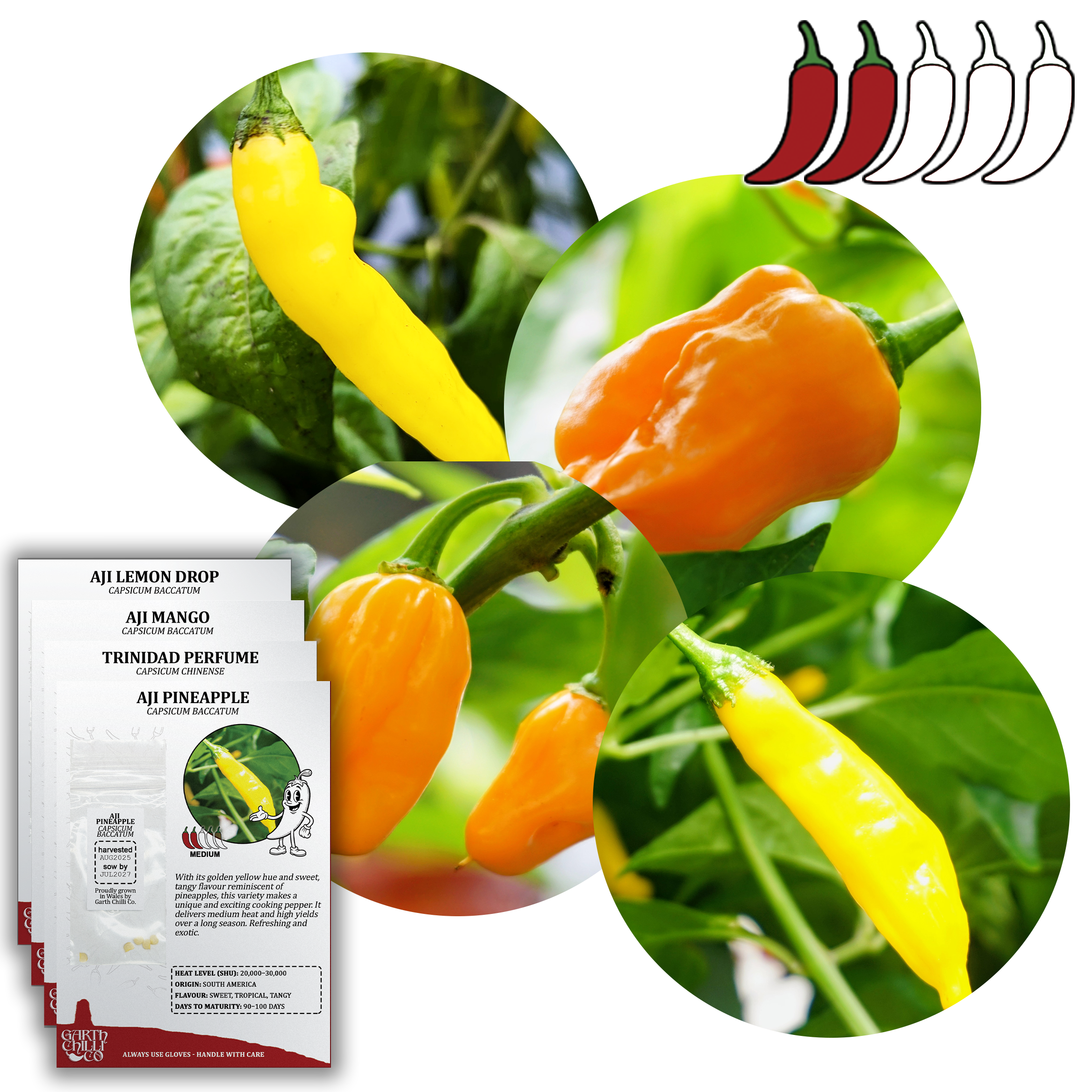 Fruity Chilli Seed Set (20) – Aji Lemon Drop, Aji Mango, Aji Pineapple, Trinidad Perfume