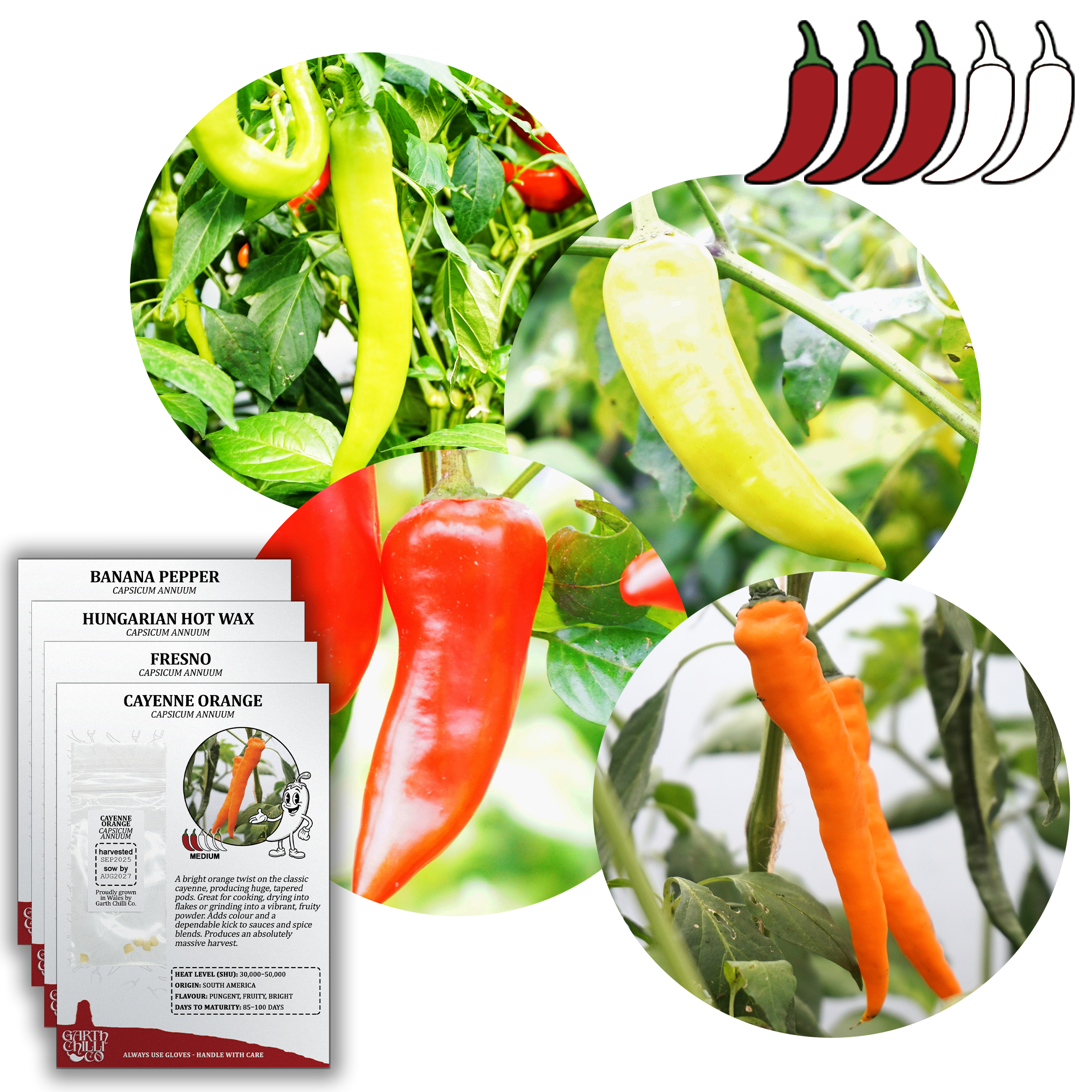Hot & Huge Chilli Seed Set (20) – Hungarian Hot Wax, Fresno, Cayenne Orange, Banana Pepper