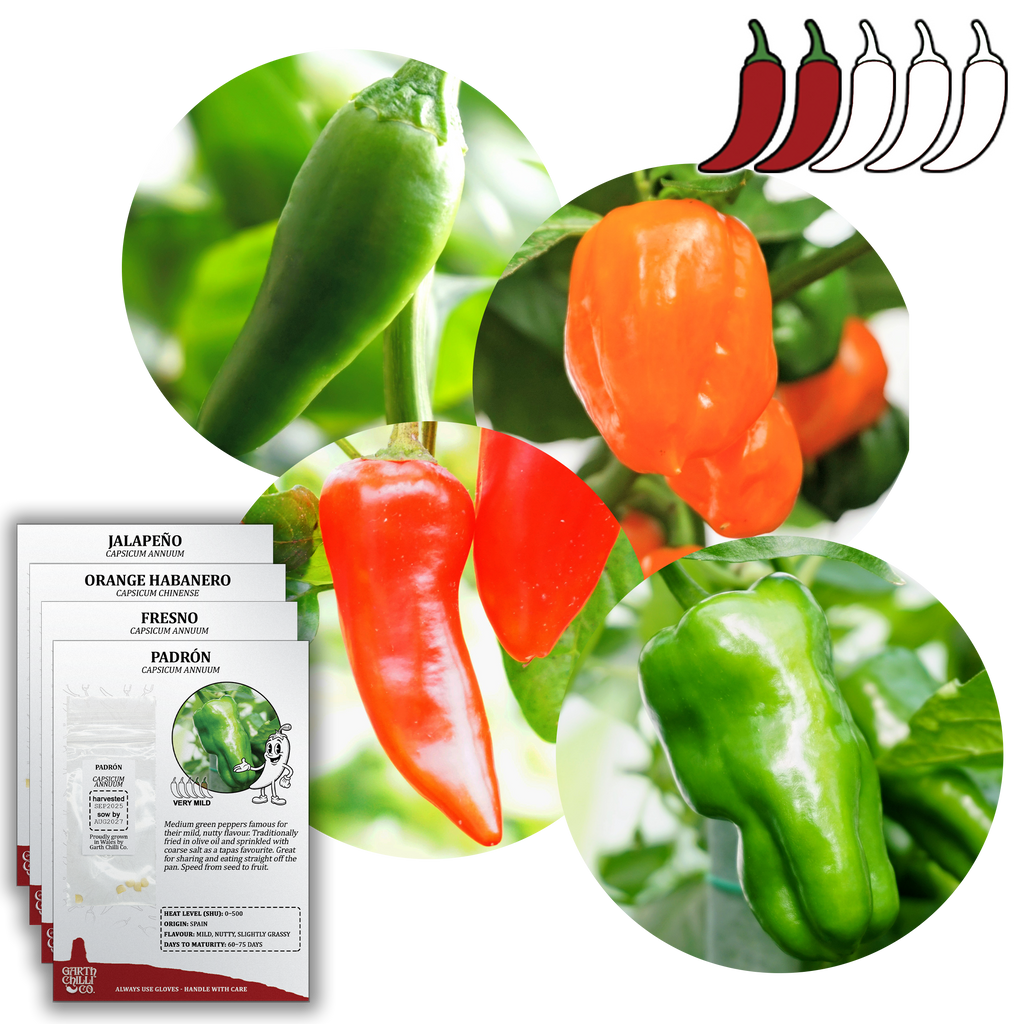 Mild to Wild Chilli Seed Set (20) – Padron, Jalapeño, Fresno, Orange Habanero