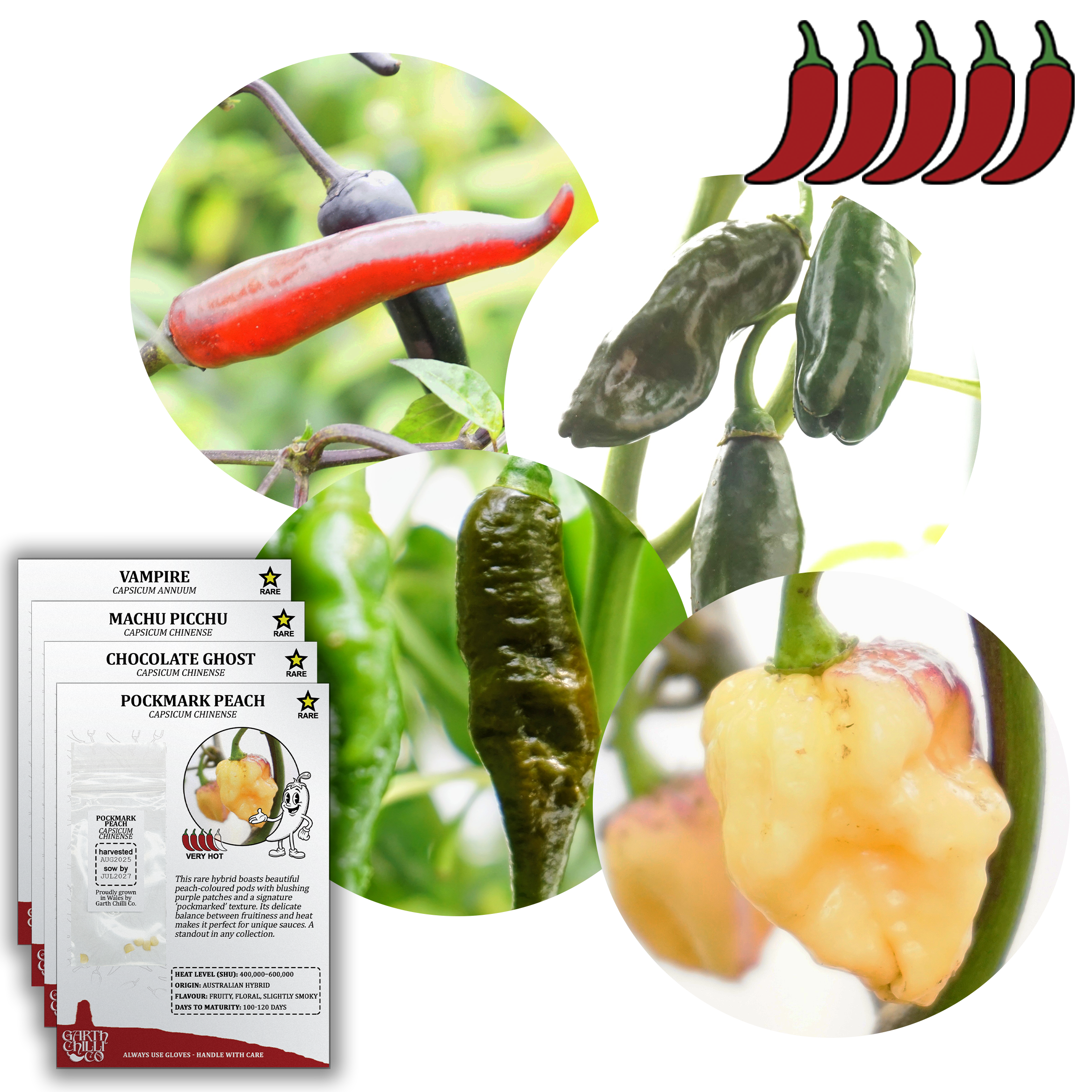 Rare Chilli Seed Set (20) – Pockmark Peach, Chocolate Ghost, Machu Picchu, Vampire
