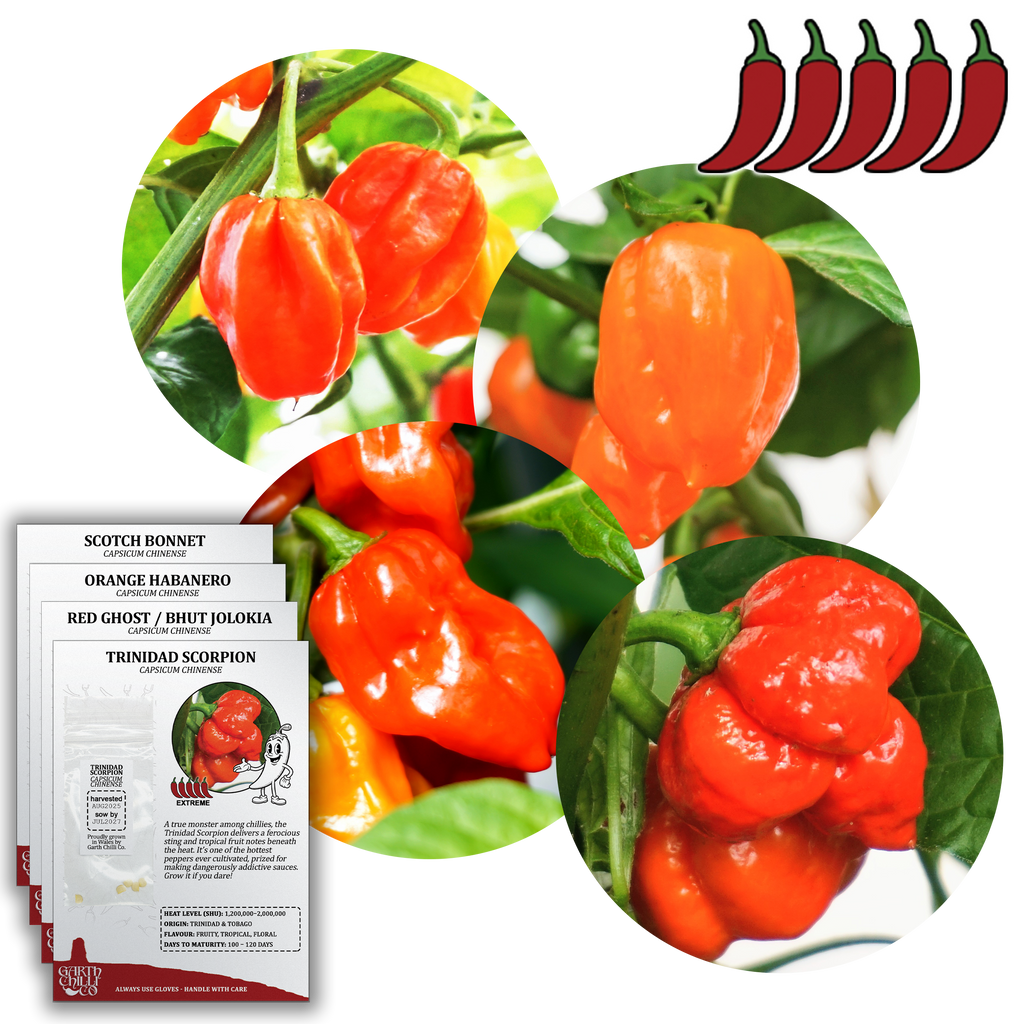 Superhot Chilli Seed Set (20) – Red Ghost / Bhut Jolokia, Trinidad Moruga Scorpion, Habanero Orange, Scotch Bonnet