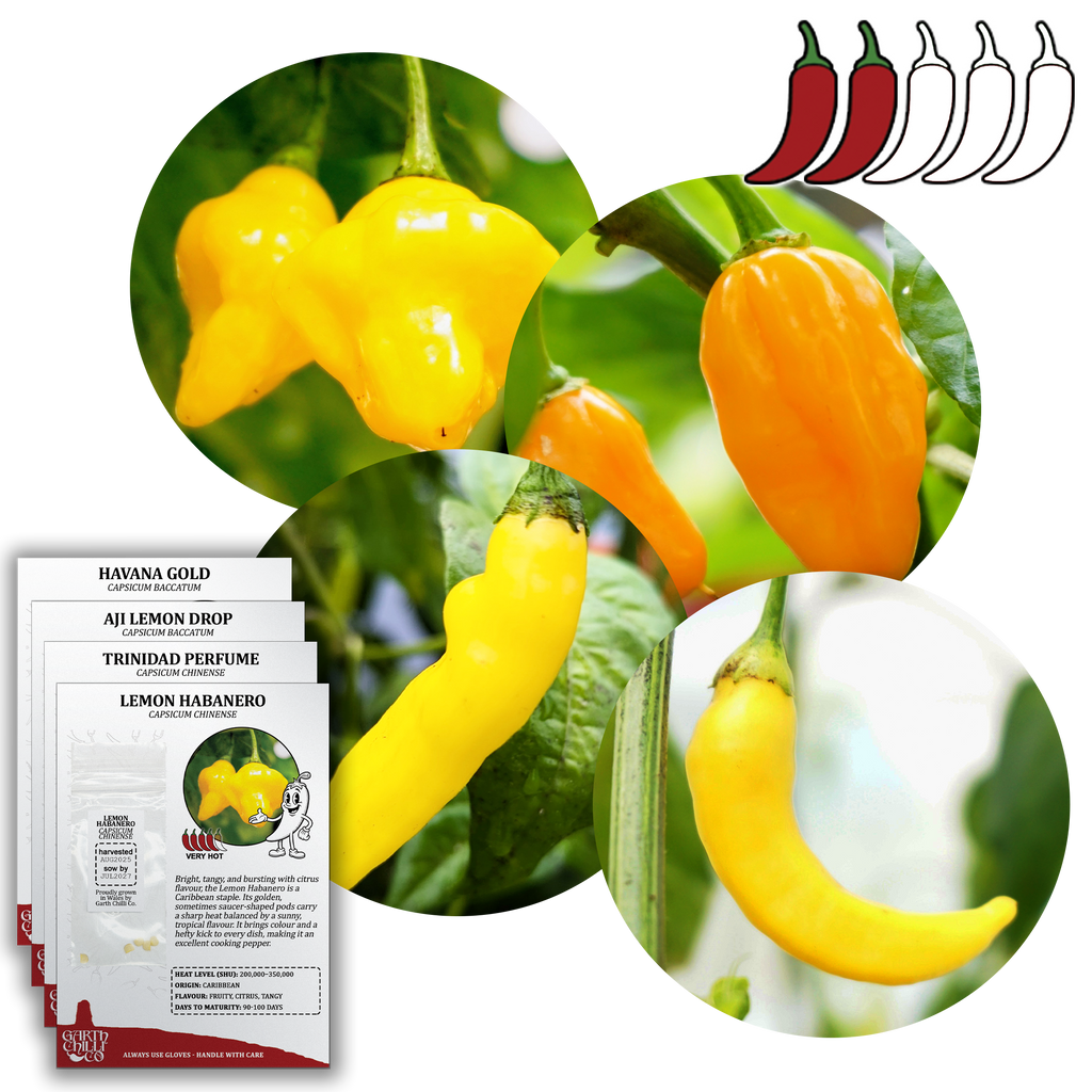 Mellow Yellow Chilli Seed Set (20) – Havana Gold, Aji Lemon Drop, Trinidad Perfume, Lemon Yellow Habanero