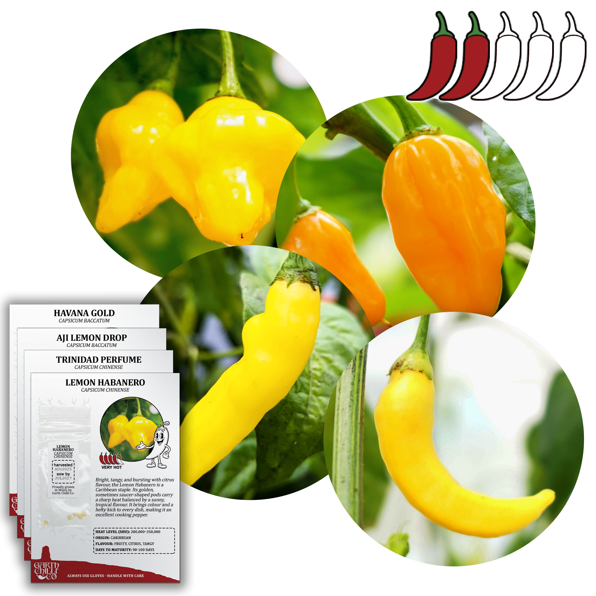 Mellow Yellow Chilli Seed Set (20) – Havana Gold, Aji Lemon Drop, Trinidad Perfume, Lemon Yellow Habanero