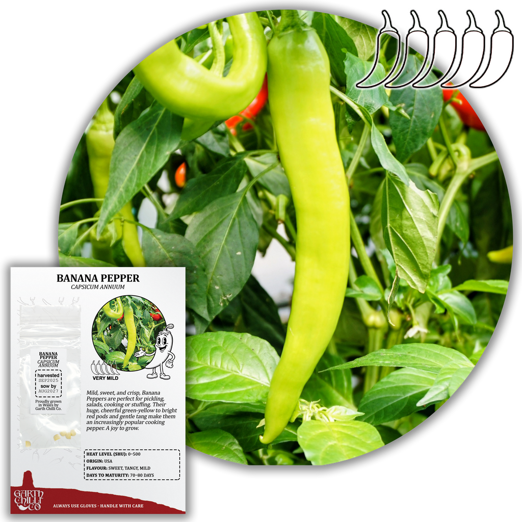 Hot & Huge Chilli Seed Set (20) – Hungarian Hot Wax, Fresno, Cayenne Orange, Banana Pepper