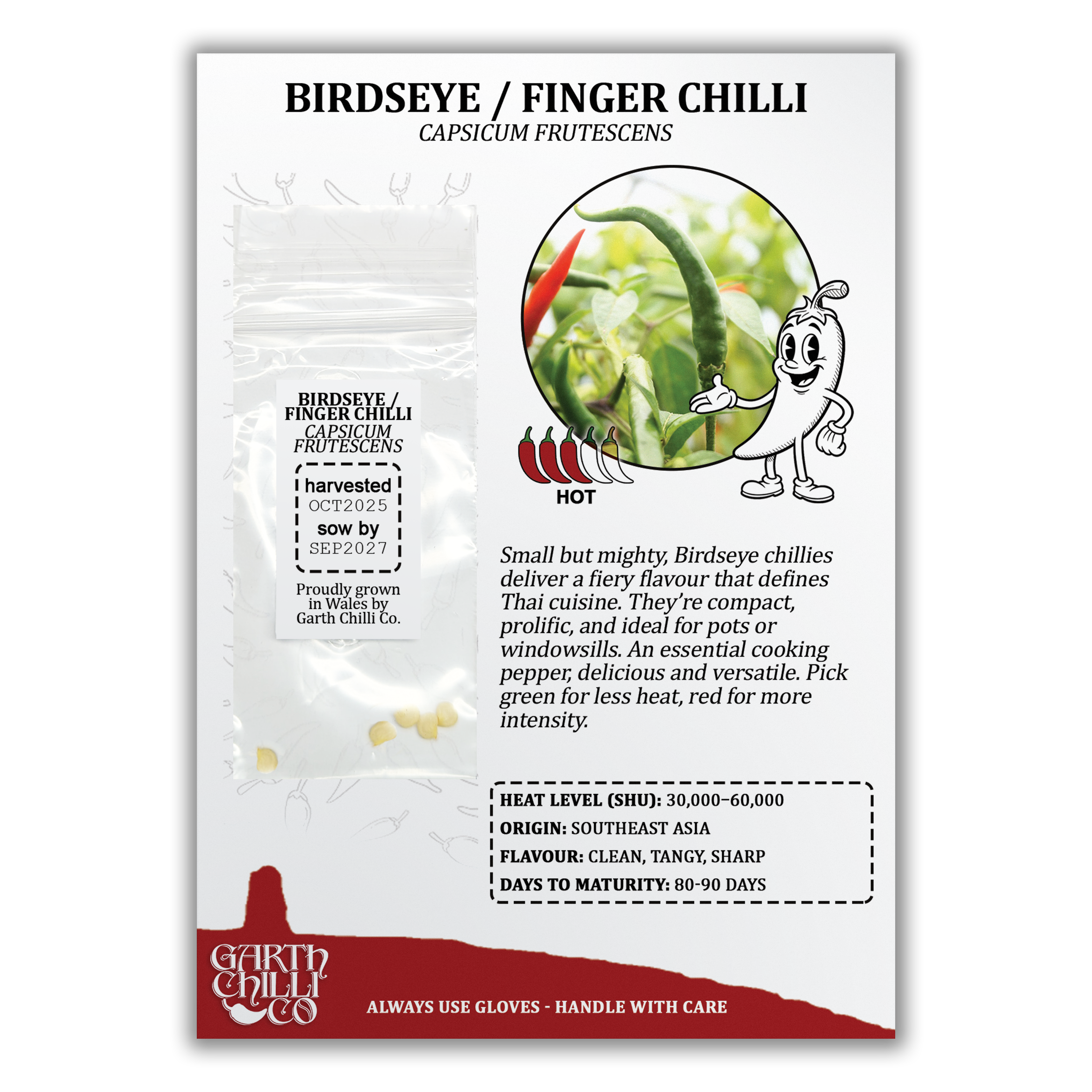 Thai Bird's Eye / Finger Chilli Seeds (10) Hot Thai Pepper - Capsicum Frutescens