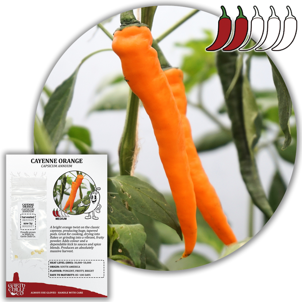 Hot & Huge Chilli Seed Set (20) – Hungarian Hot Wax, Fresno, Cayenne Orange, Banana Pepper
