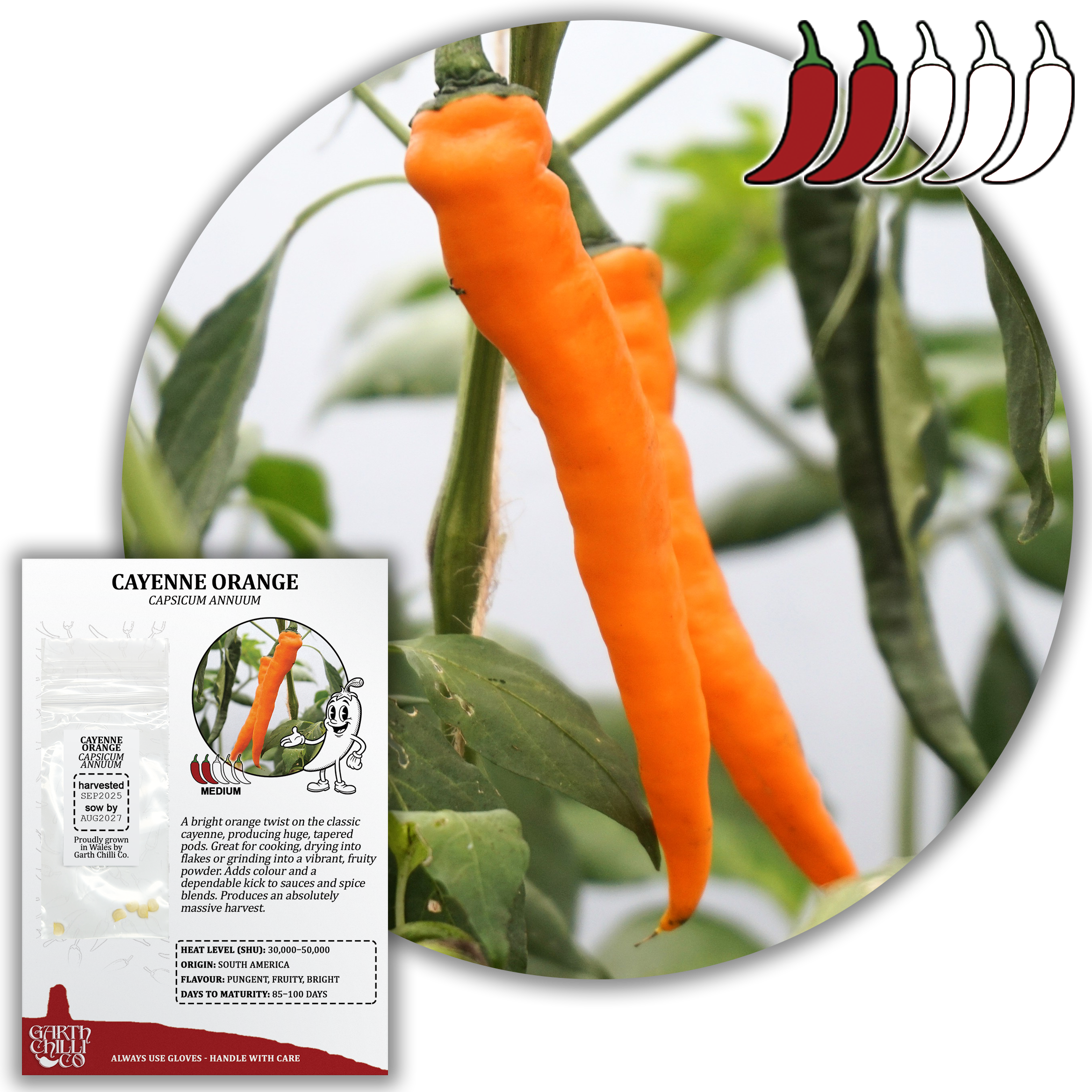 Hot & Huge Chilli Seed Set (20) – Hungarian Hot Wax, Fresno, Cayenne Orange, Banana Pepper
