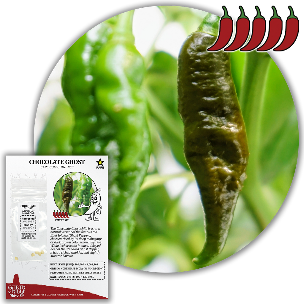 Rare Chilli Seed Set (20) – Pockmark Peach, Chocolate Ghost, Machu Picchu, Vampire