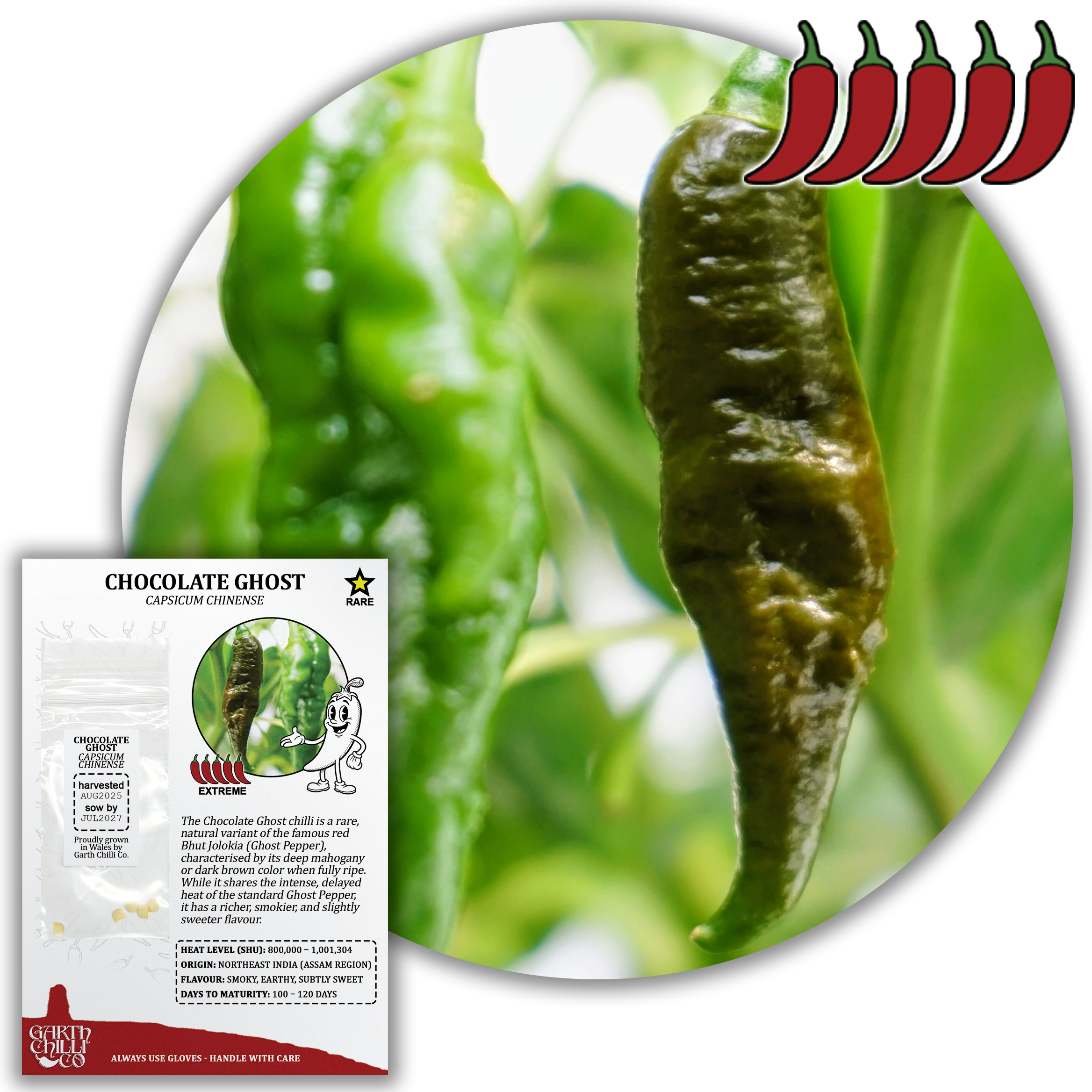 Chocolate Ghost / Bhut Jolokia Chilli Seeds (10) Rare Superhot Pepper - Capsicum Chinense