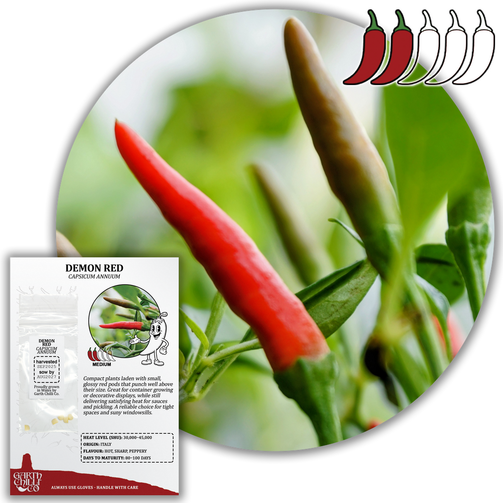 Compact Chilli Seed Set (20) – Demon Red, Zimbabwe Black, Ring of Fire, Kilian