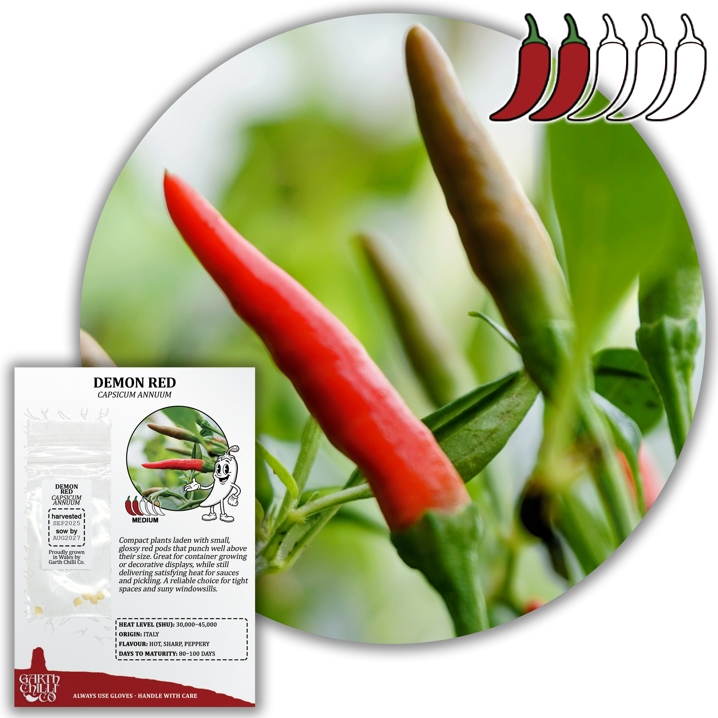 Compact Chilli Seed Set (20) – Demon Red, Zimbabwe Black, Ring of Fire, Kilian