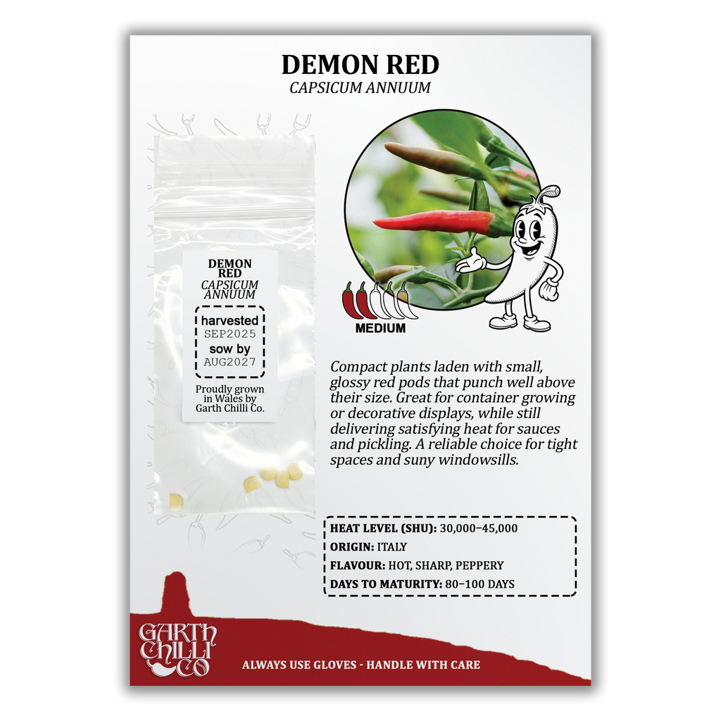 Compact Chilli Seed Set (20) – Demon Red, Zimbabwe Black, Ring of Fire, Kilian