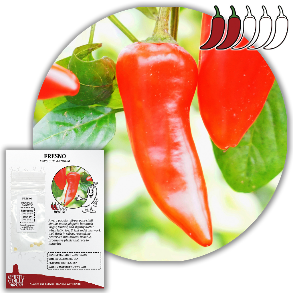 Hot & Huge Chilli Seed Set (20) – Hungarian Hot Wax, Fresno, Cayenne Orange, Banana Pepper