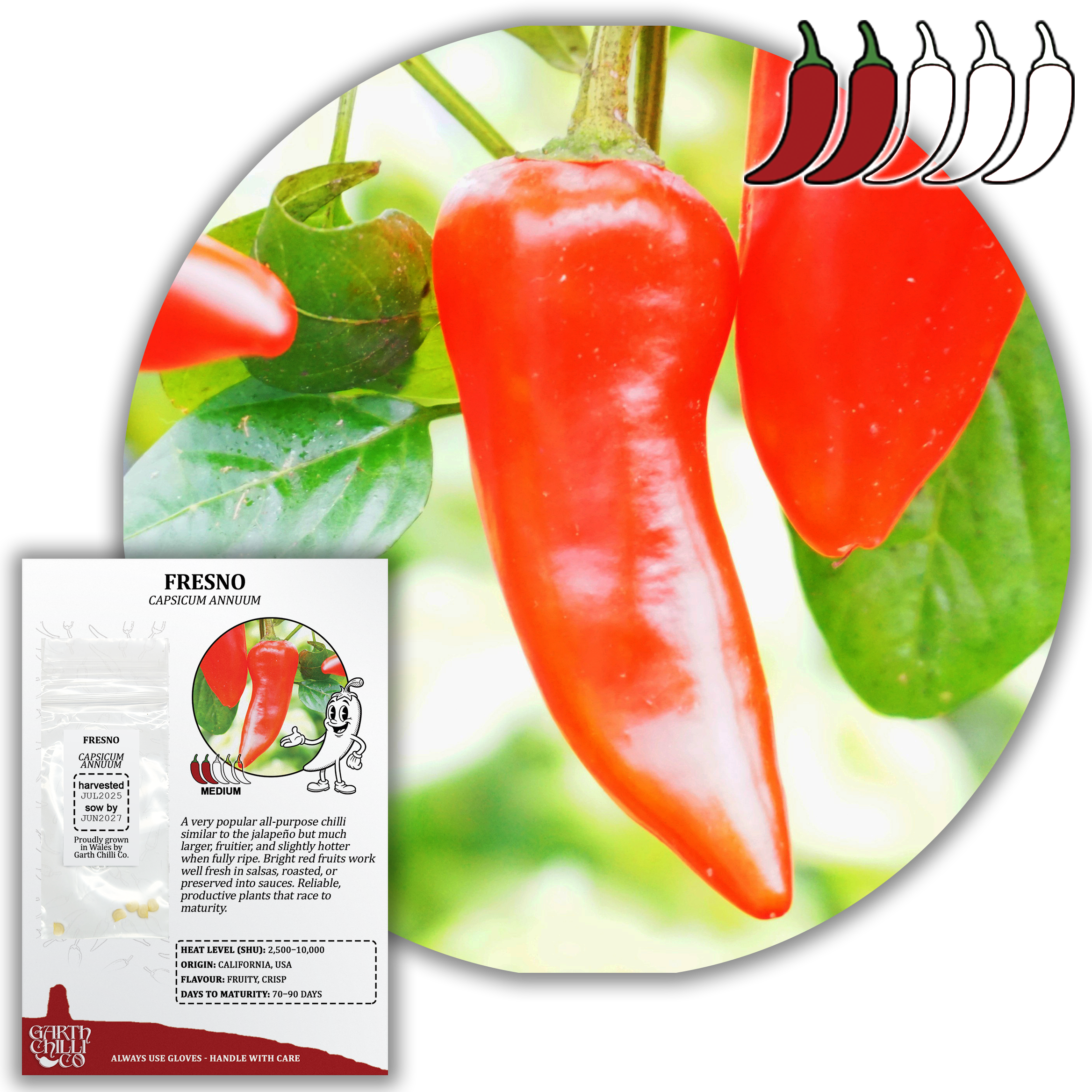 Fresno Chilli Seeds (10) Medium Chunky Pepper - Capsicum Annuum