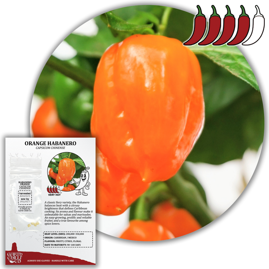 Mild to Wild Chilli Seed Set (20) – Padron, Jalapeño, Fresno, Orange Habanero