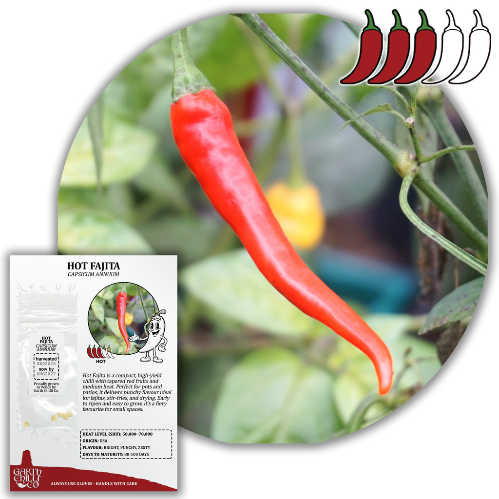 Hot Fajita Chilli Seeds (10) Medium Mexican Pepper - Capsicum Annuum
