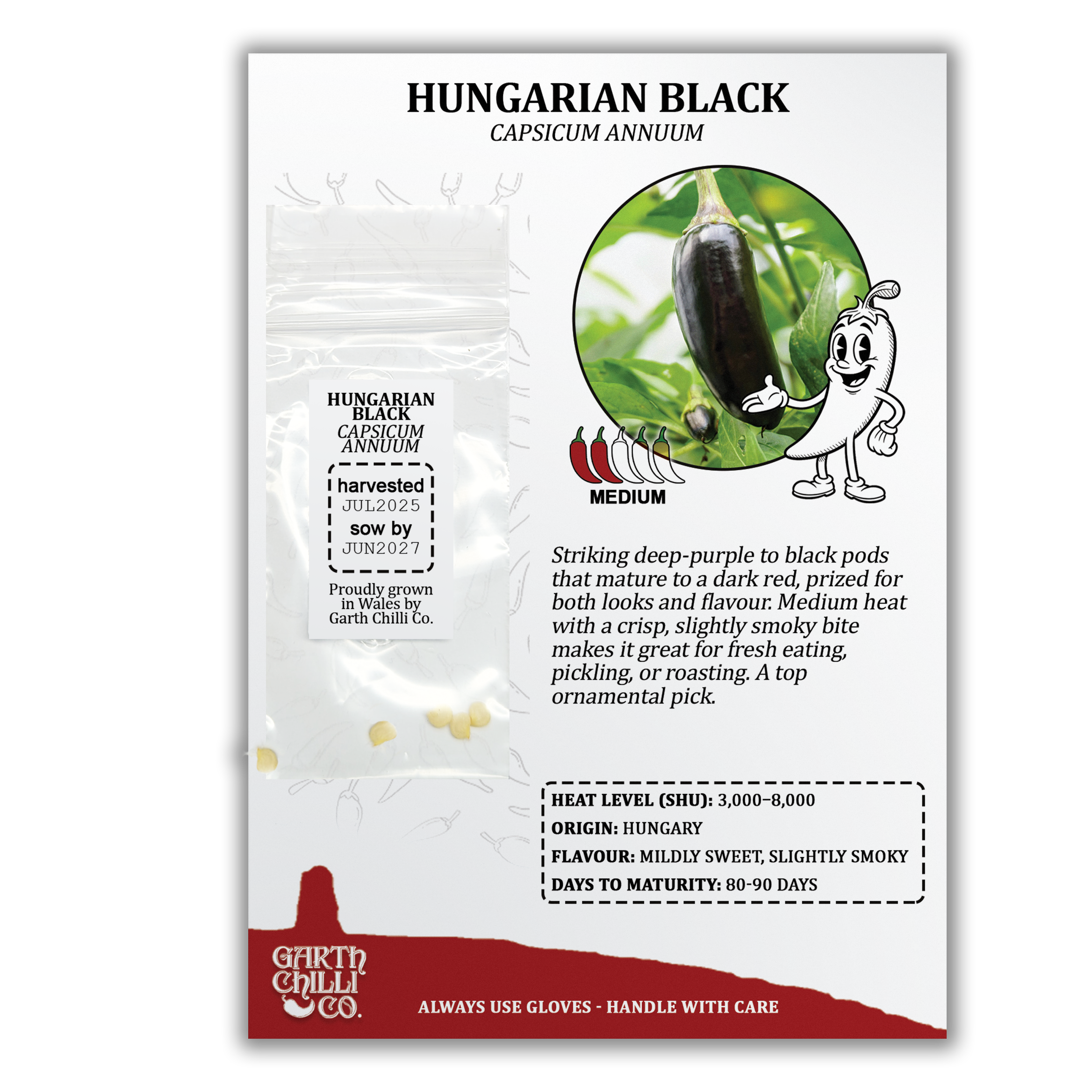 Hungarian Black Chilli Seeds (10) Mild Black Pepper - Capsicum Annuum