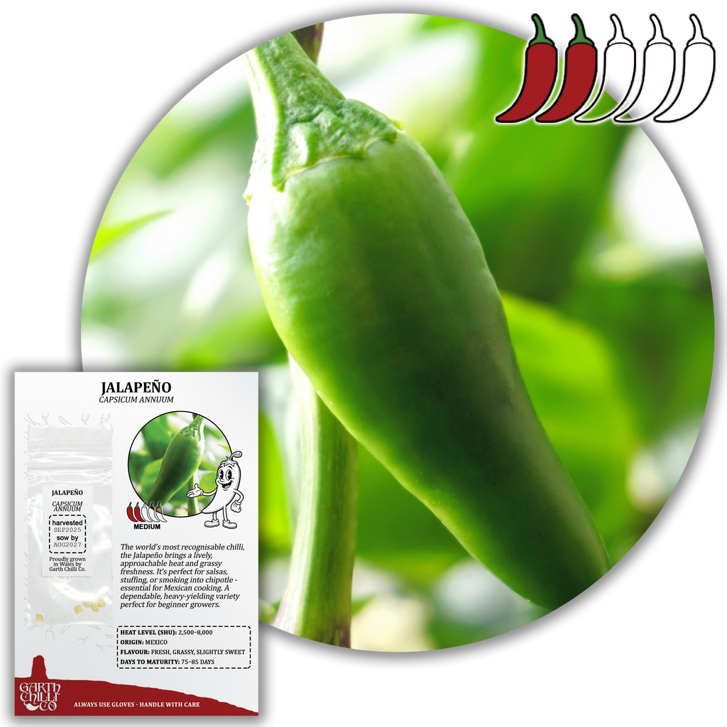 Mild to Wild Chilli Seed Set (20) – Padron, Jalapeño, Fresno, Orange Habanero