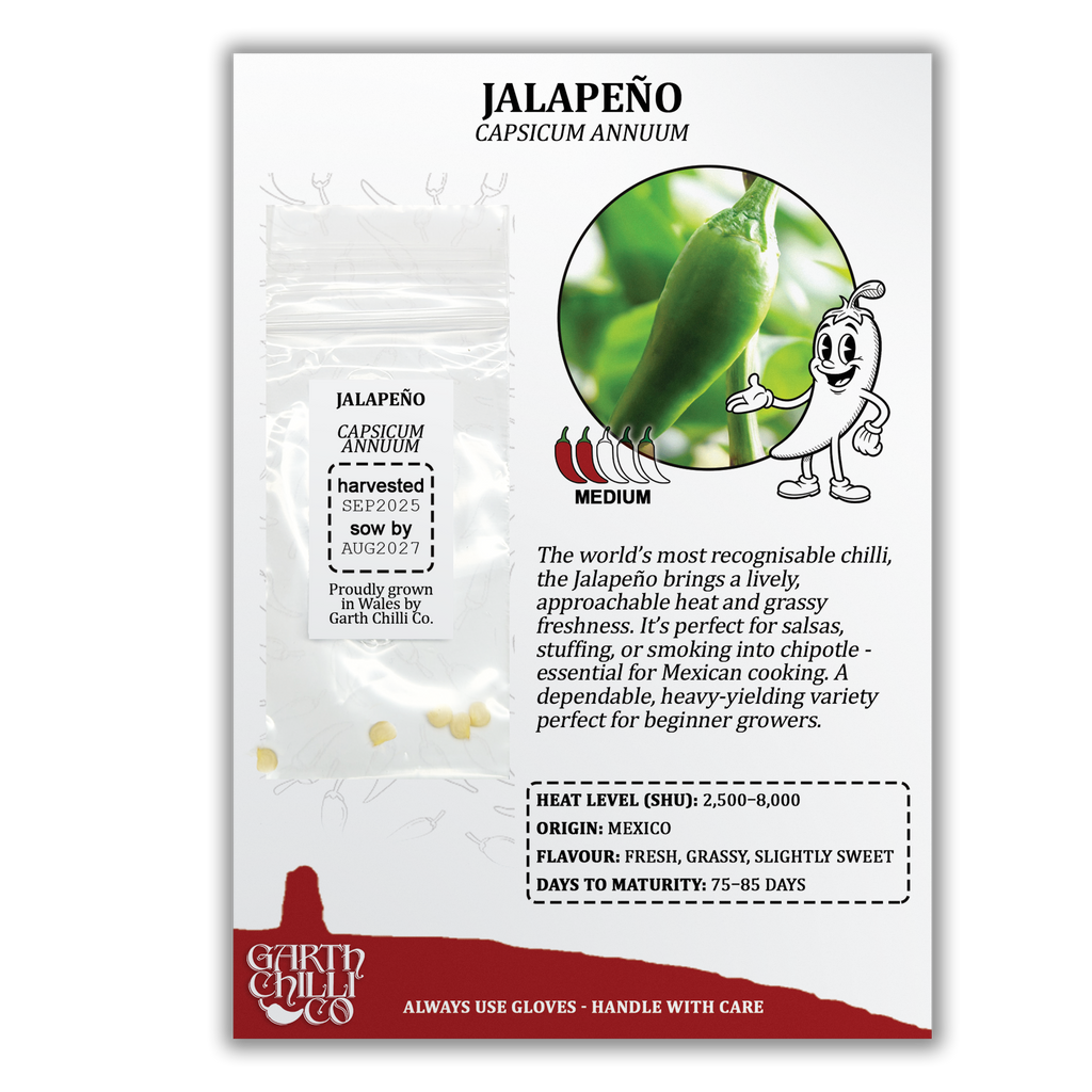 Mild to Wild Chilli Seed Set (20) – Padron, Jalapeño, Fresno, Orange Habanero