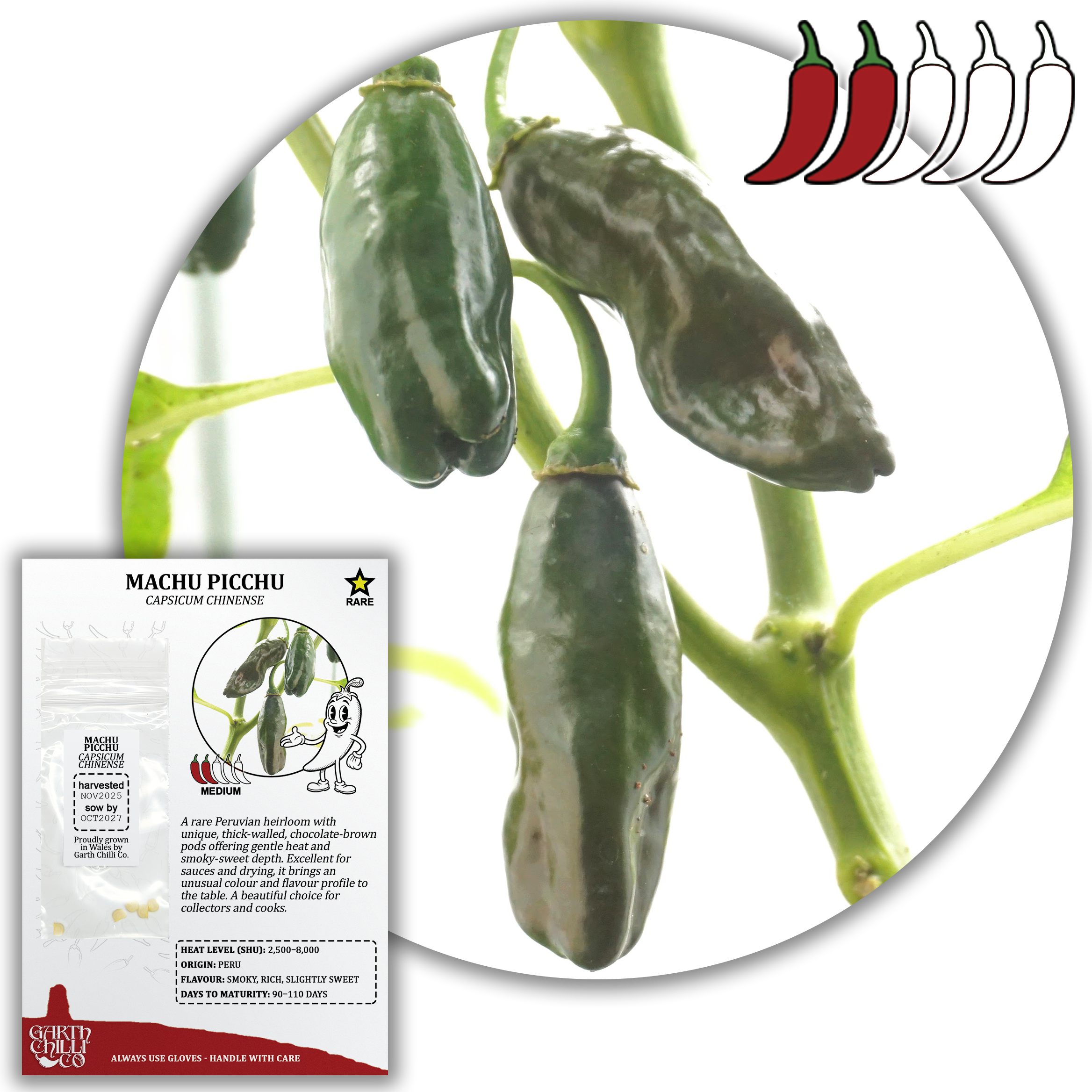 Rare Chilli Seed Set (20) – Pockmark Peach, Chocolate Ghost, Machu Picchu, Vampire