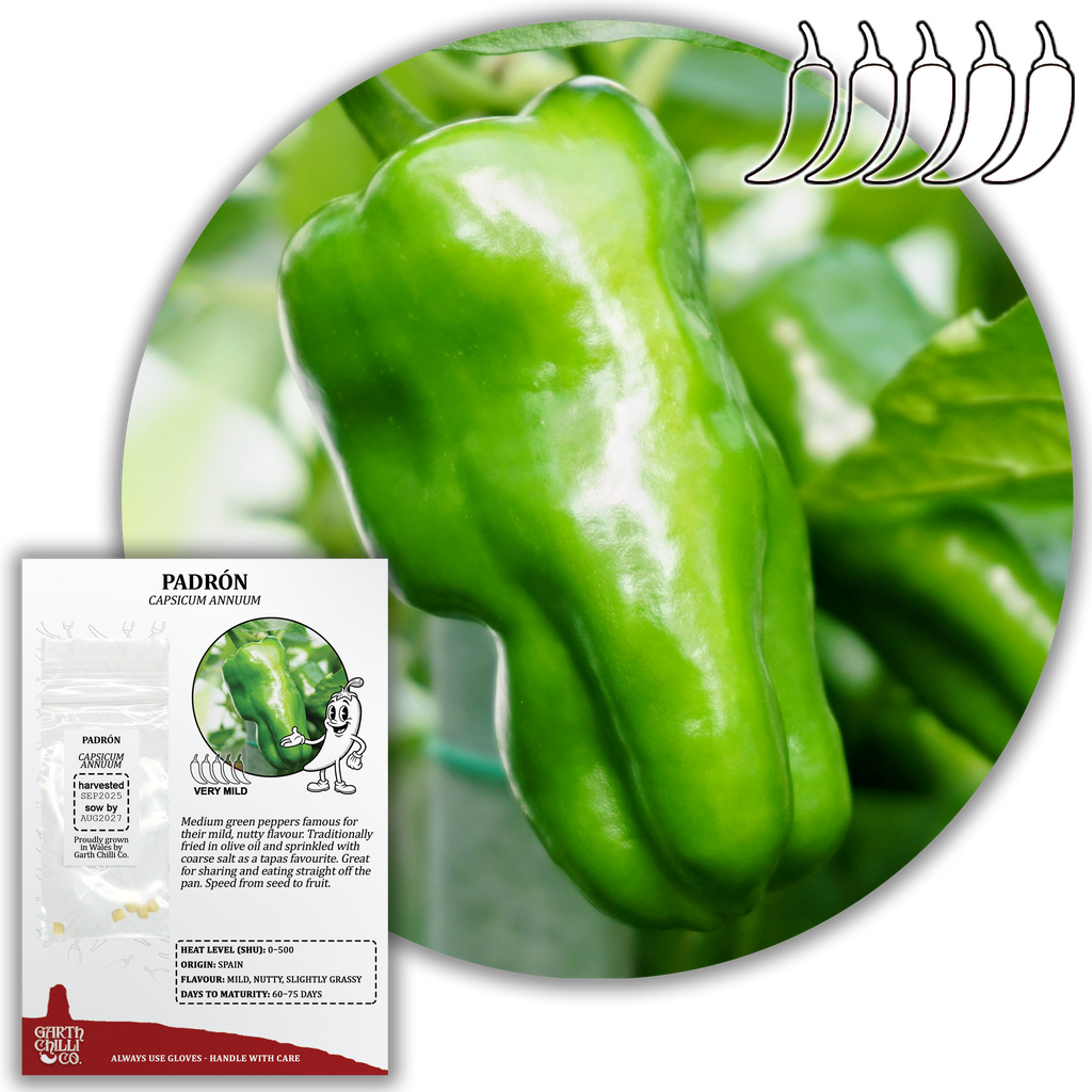 Mild to Wild Chilli Seed Set (20) – Padron, Jalapeño, Fresno, Orange Habanero