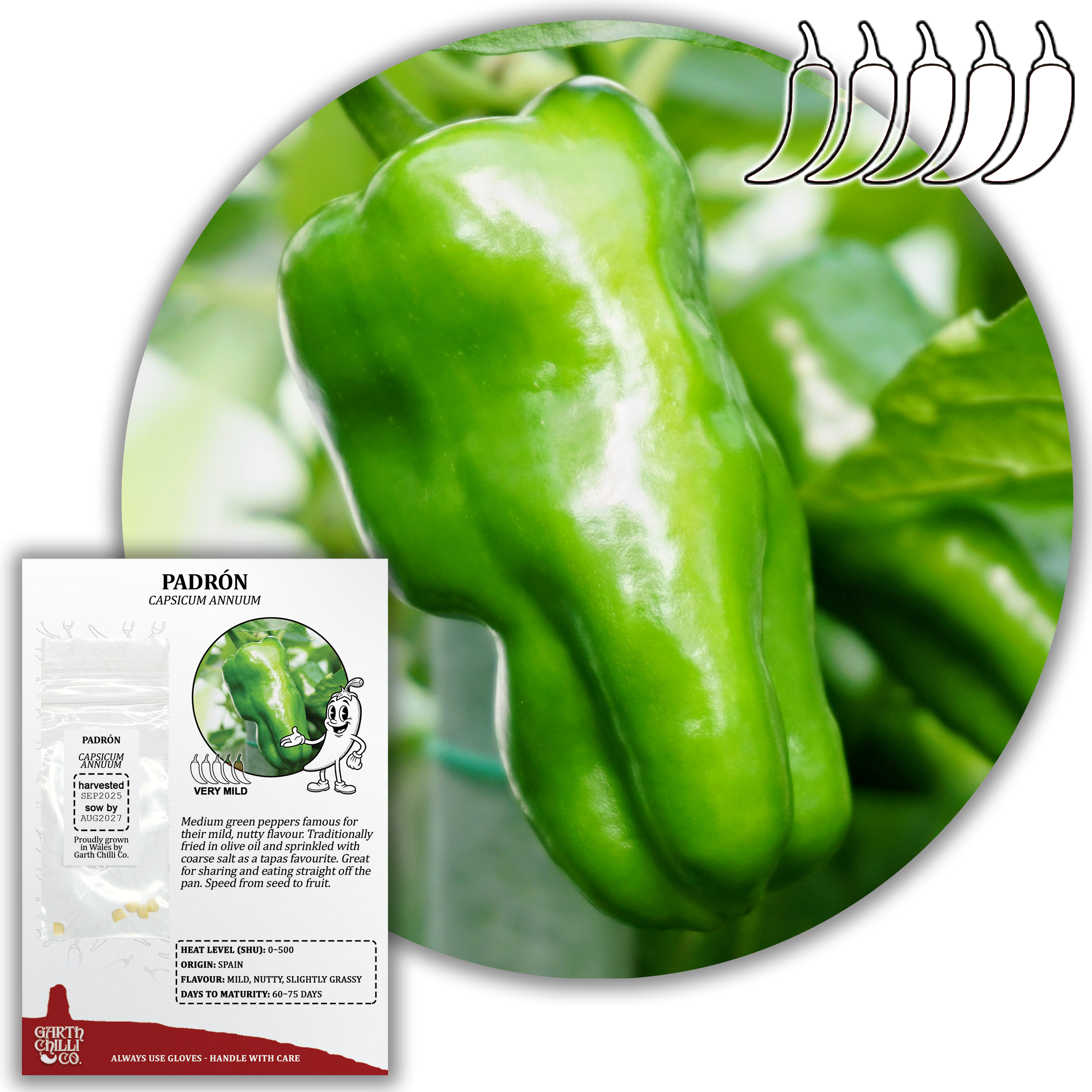 Mild to Wild Chilli Seed Set (20) – Padron, Jalapeño, Fresno, Orange Habanero