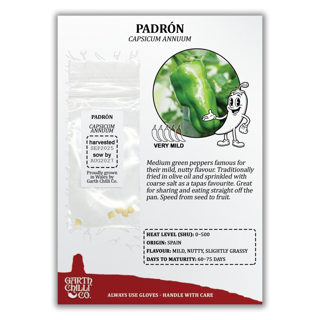 Mild to Wild Chilli Seed Set (20) – Padron, Jalapeño, Fresno, Orange Habanero