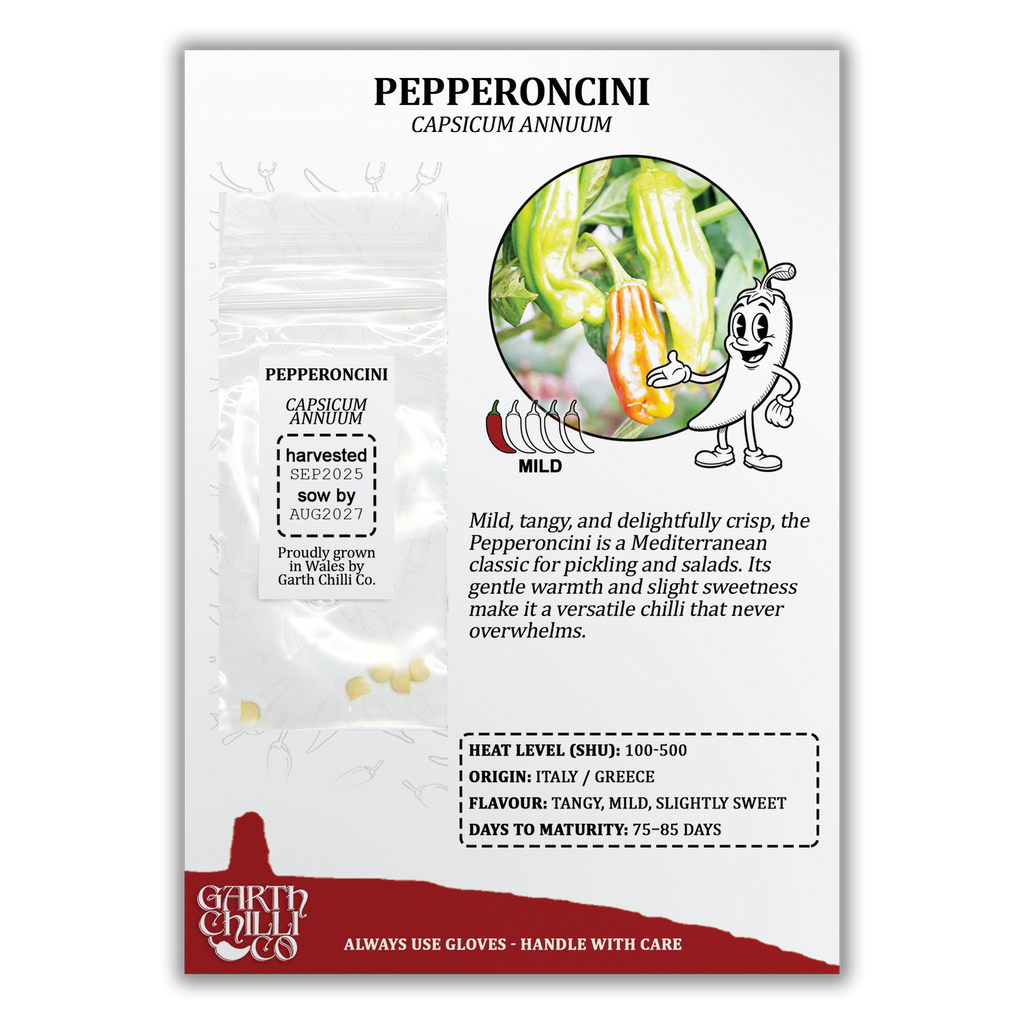 Pepperoncini Chilli Seeds (10) Mild Snack Pepper - Capsicum Annuum