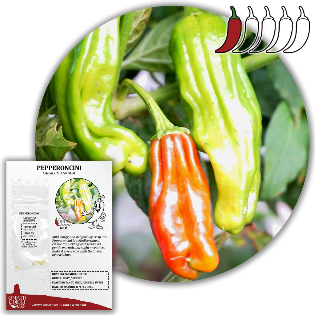 Pepperoncini Chilli Seeds (10) Mild Snack Pepper - Capsicum Annuum
