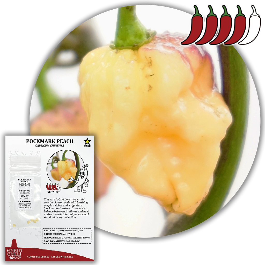 Rare Chilli Seed Set (20) – Pockmark Peach, Chocolate Ghost, Machu Picchu, Vampire