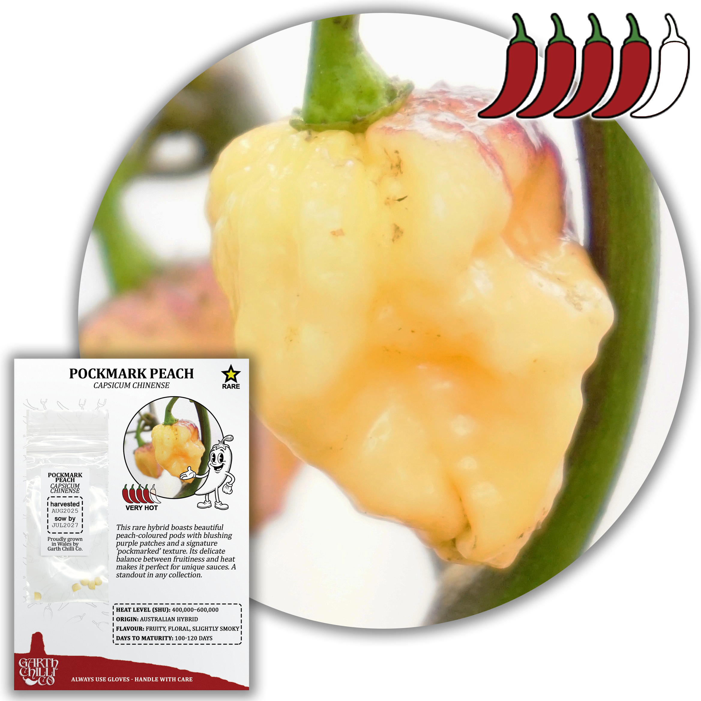 Rare Chilli Seed Set (20) – Pockmark Peach, Chocolate Ghost, Machu Picchu, Vampire