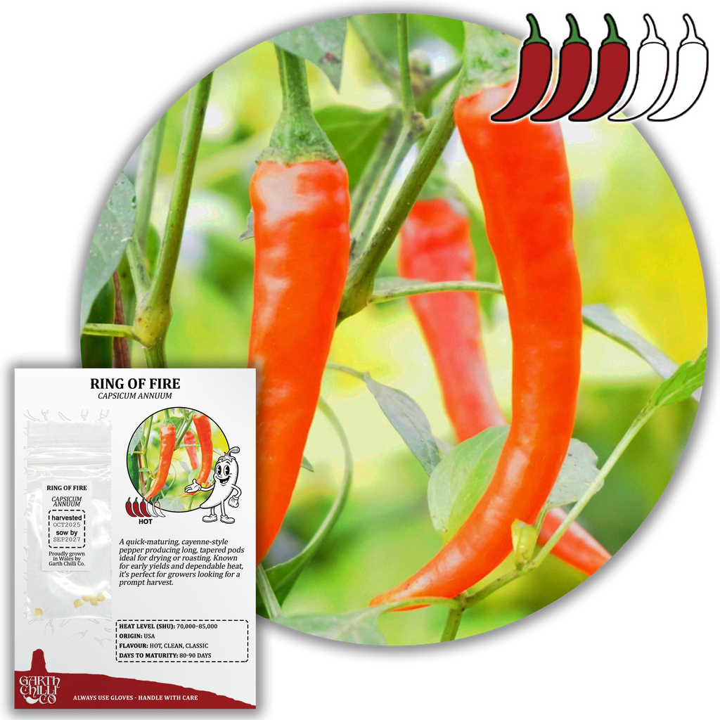 Compact Chilli Seed Set (20) – Demon Red, Zimbabwe Black, Ring of Fire, Kilian