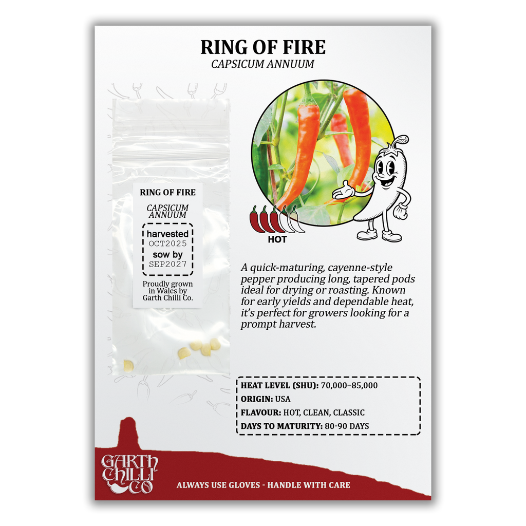 Compact Chilli Seed Set (20) – Demon Red, Zimbabwe Black, Ring of Fire, Kilian