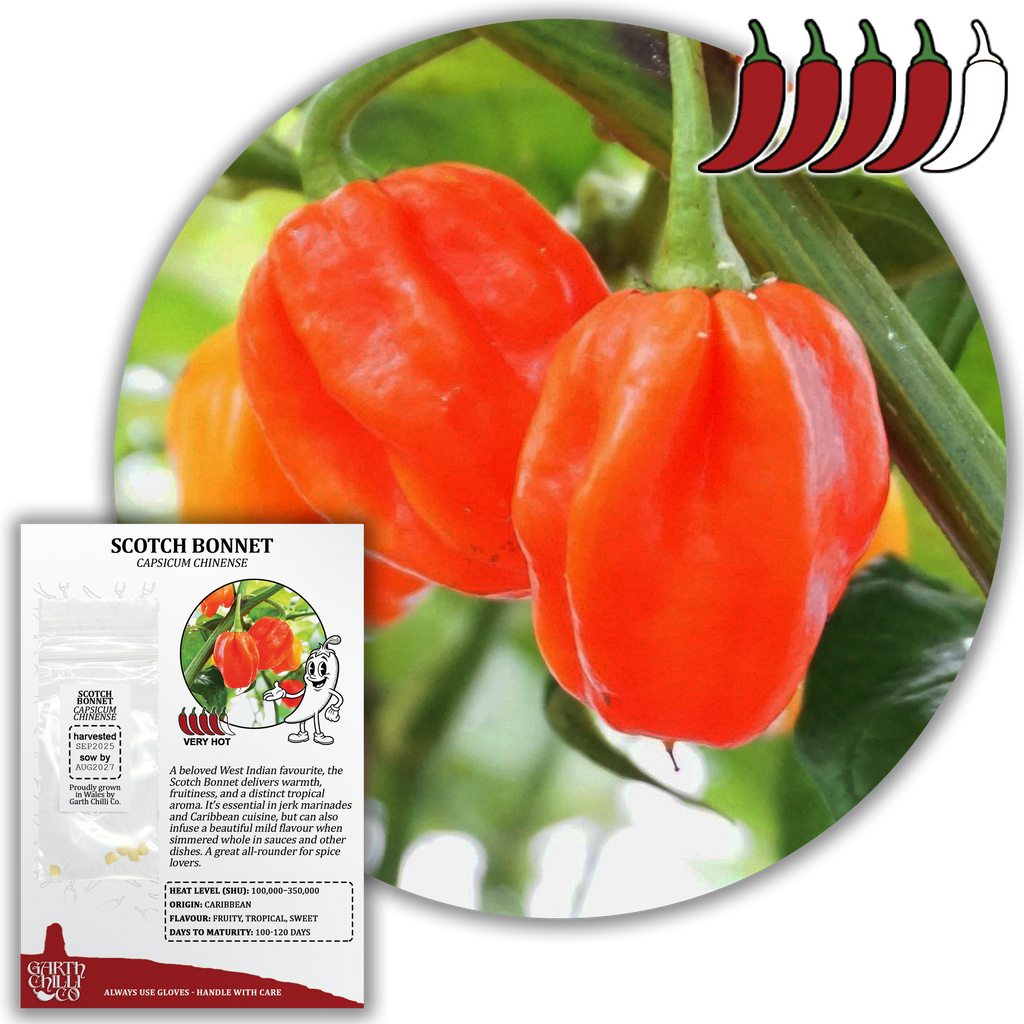 Superhot Chilli Seed Set (20) – Red Ghost / Bhut Jolokia, Trinidad Moruga Scorpion, Habanero Orange, Scotch Bonnet