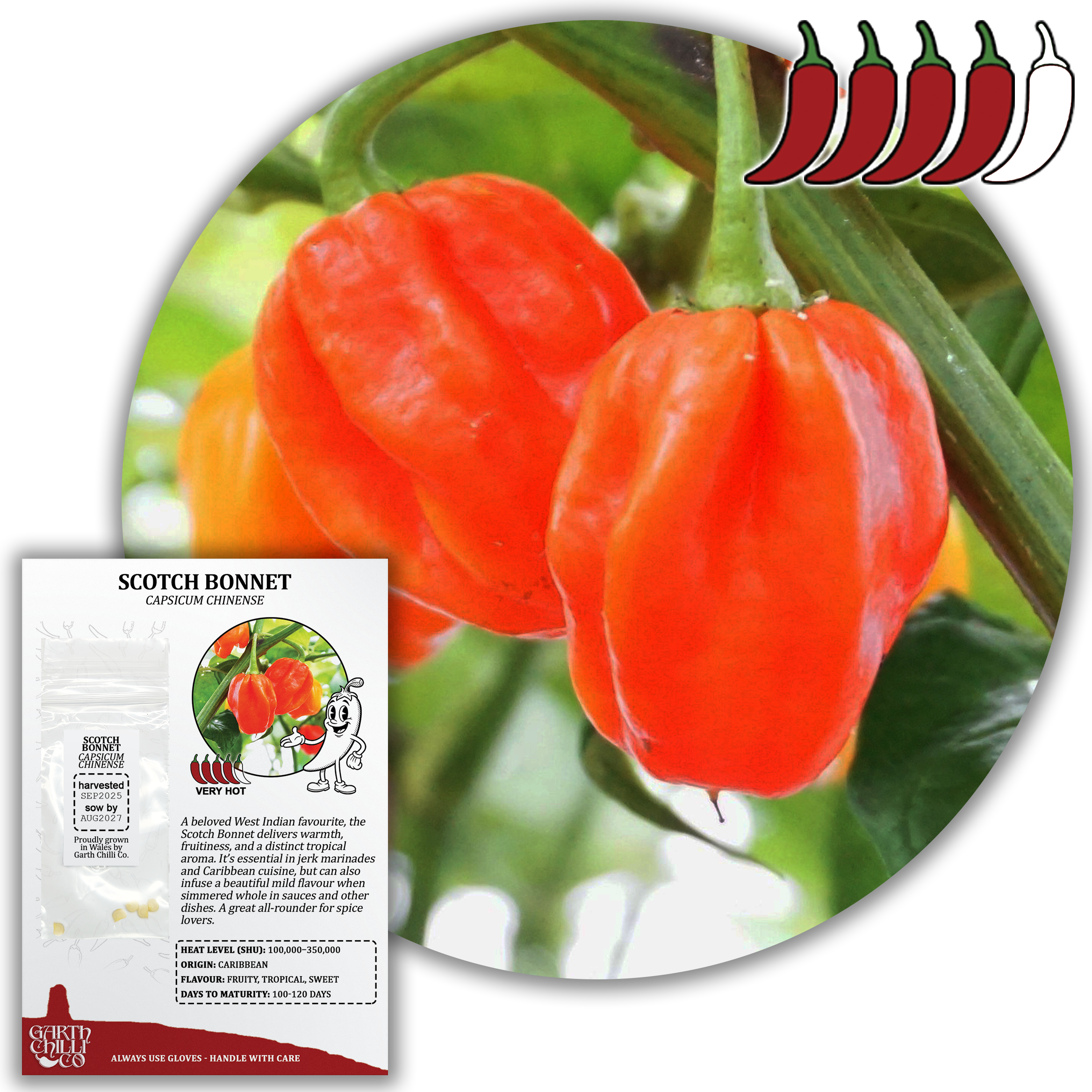 Superhot Chilli Seed Set (20) – Red Ghost / Bhut Jolokia, Trinidad Moruga Scorpion, Habanero Orange, Scotch Bonnet
