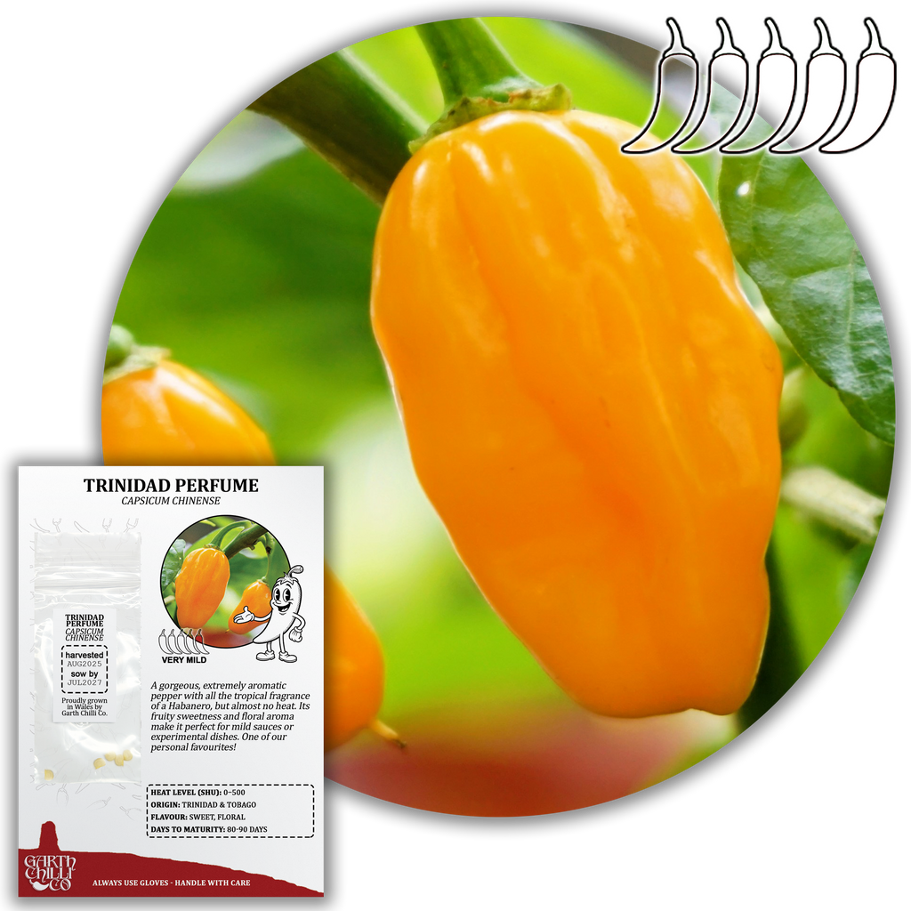 Mellow Yellow Chilli Seed Set (20) – Havana Gold, Aji Lemon Drop, Trinidad Perfume, Lemon Yellow Habanero