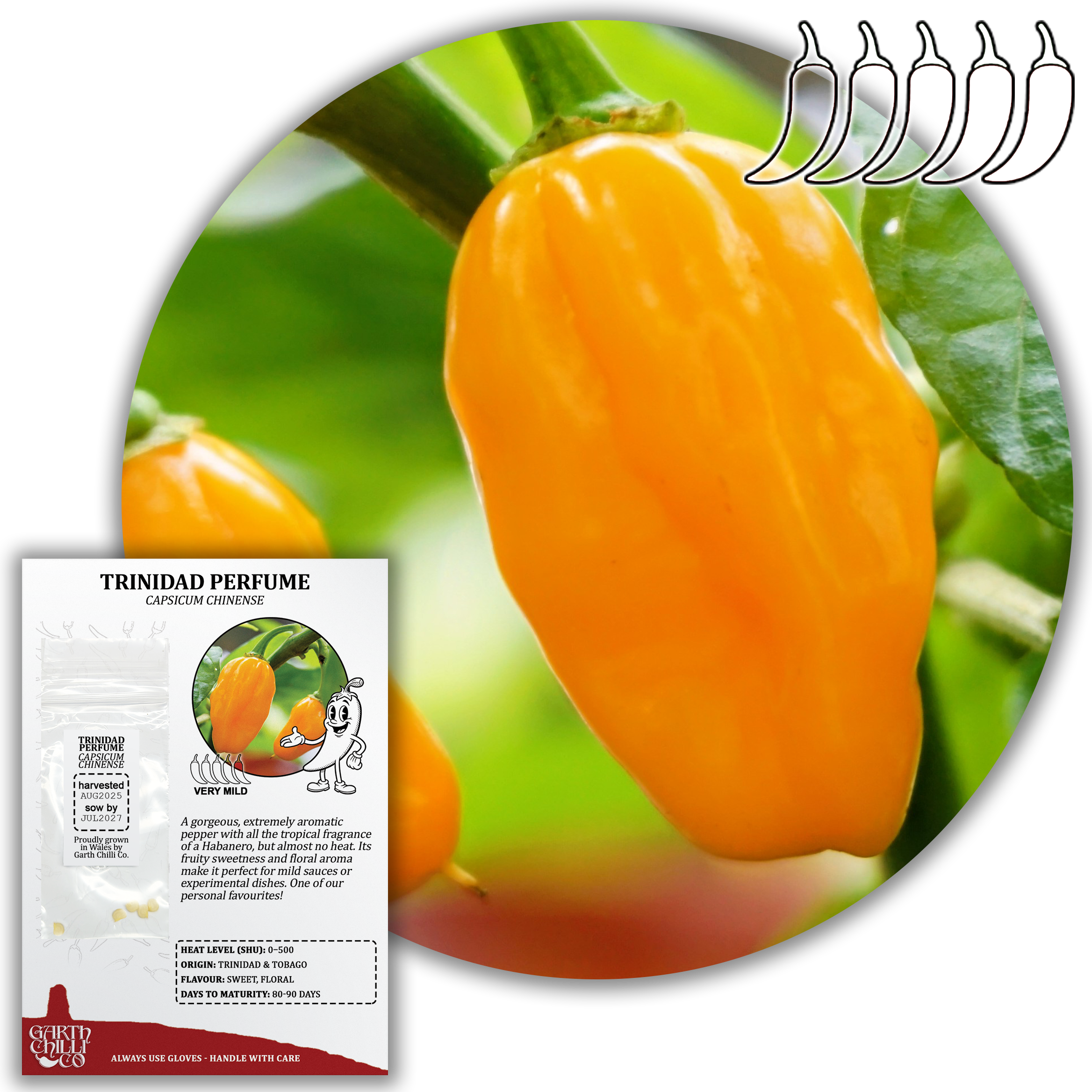 Fruity Chilli Seed Set (20) – Aji Lemon Drop, Aji Mango, Aji Pineapple, Trinidad Perfume