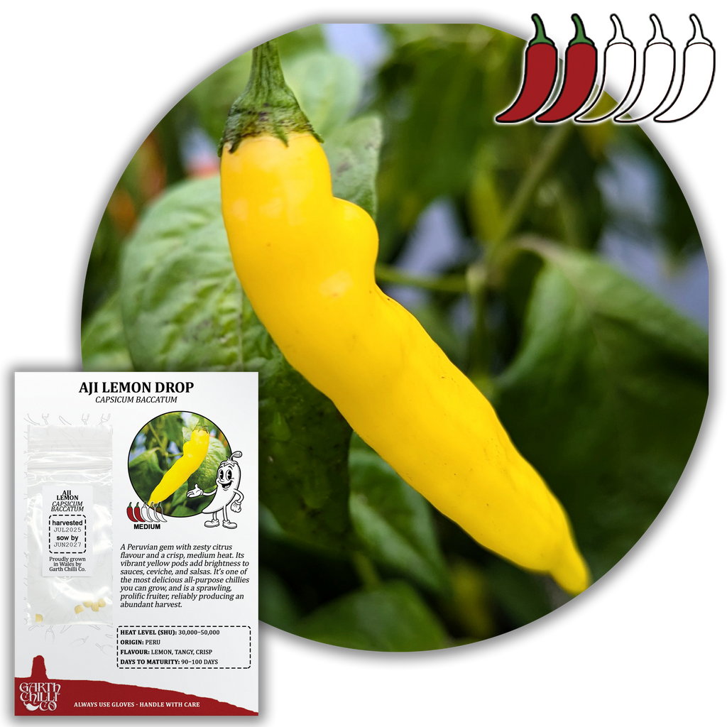 Mellow Yellow Chilli Seed Set (20) – Havana Gold, Aji Lemon Drop, Trinidad Perfume, Lemon Yellow Habanero