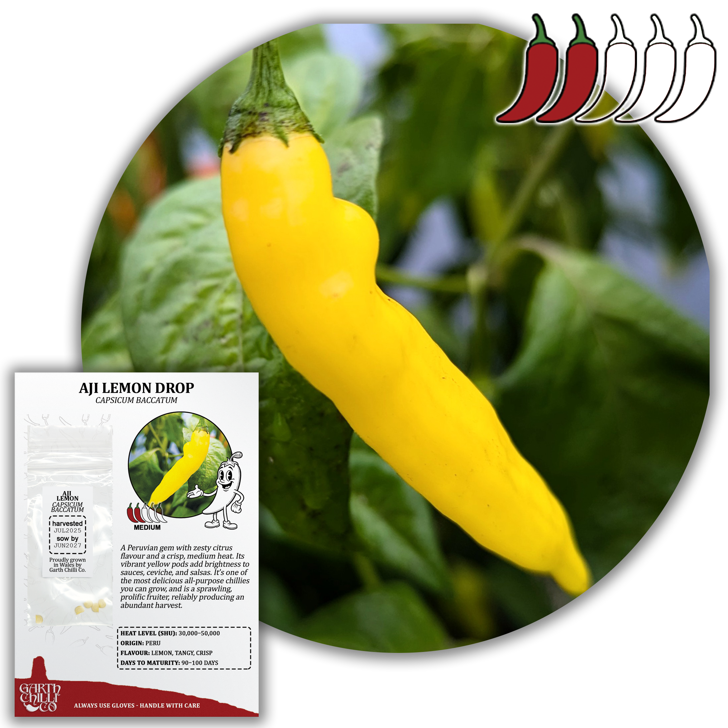 Mellow Yellow Chilli Seed Set (20) – Havana Gold, Aji Lemon Drop, Trinidad Perfume, Lemon Yellow Habanero
