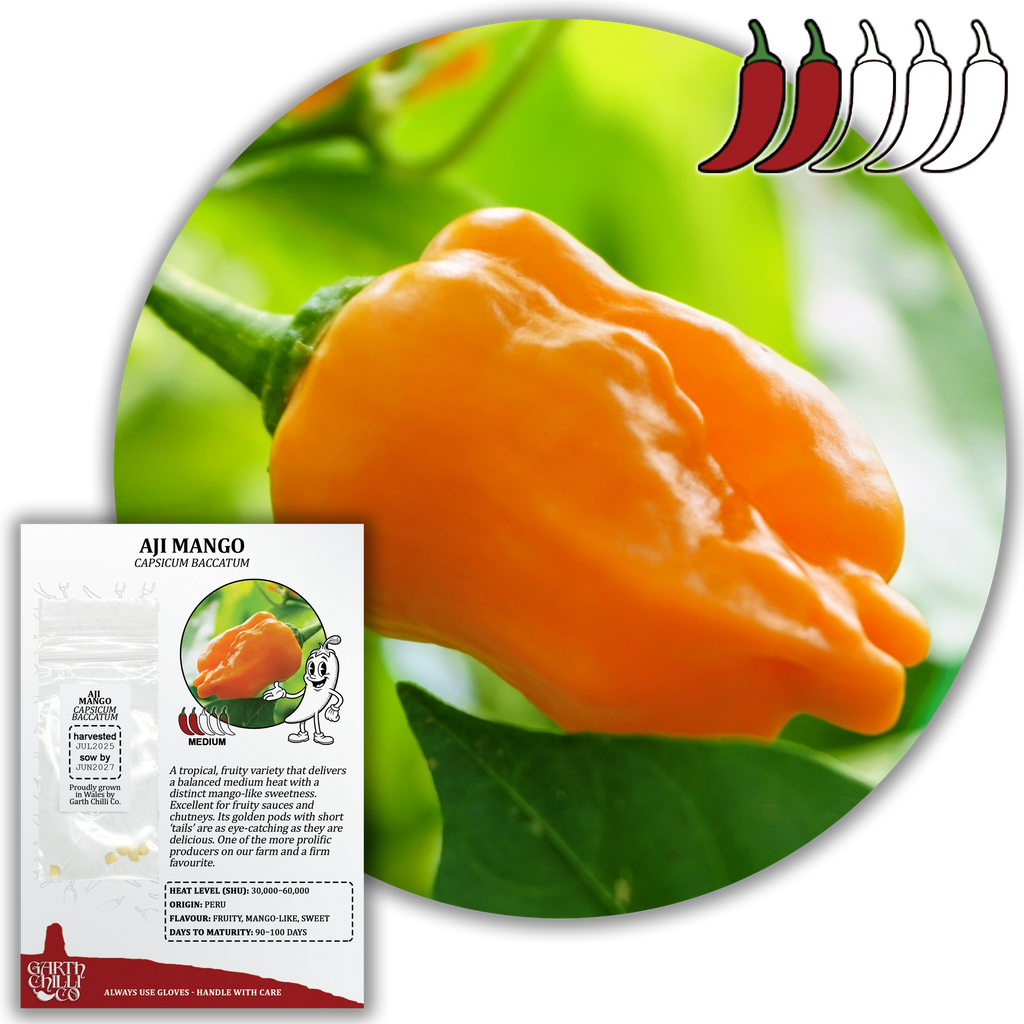 Aji Mango Chilli Seeds (10) Mild Fruity Pepper - Capsicum Baccatum (Copy)