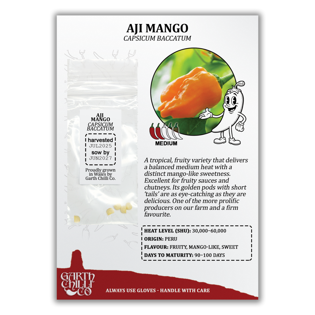 Aji Mango Chilli Seeds (10) Mild Fruity Pepper - Capsicum Baccatum (Copy)