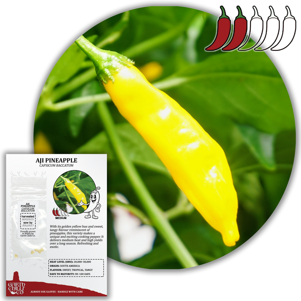 Aji Pineapple Chilli Seeds (10) Mild Fruity Pepper - Capsicum Baccatum